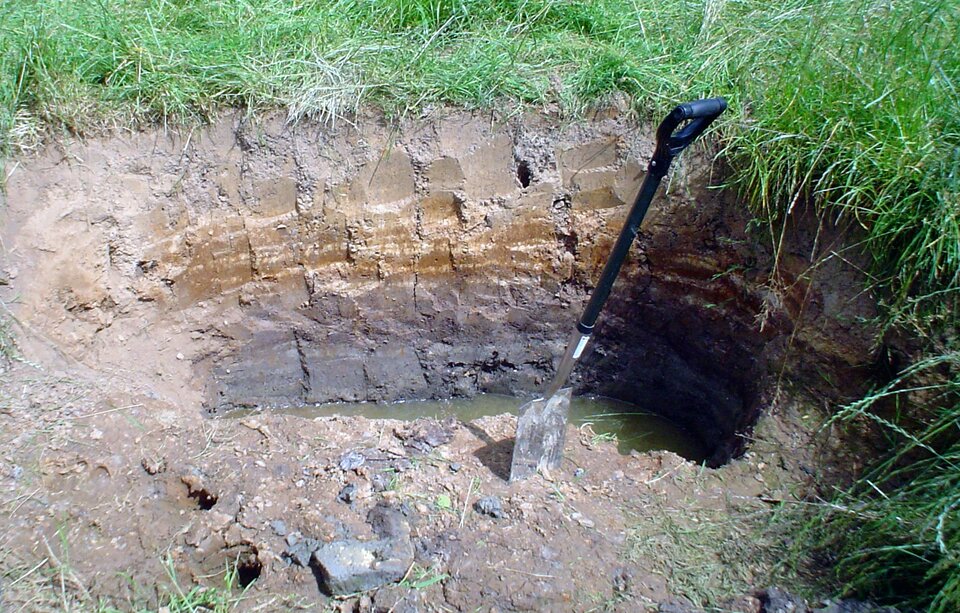 Na zdjęciu jest wykop w ziemi, ukazujący profil glebowy. W wykopie stoi wbity szpadel. Na powierzchni ziemi rośnie gęsta, zielona trawa. Pod nią znajduje się brązowa warstwa ziemi. Następnie warstwa jasnobrązowa. Niżej warstwa, która ma kolor ciemnoszary, wpadający w czerń. Wszystkie warstwy są dość zbite, cięcia szpadla są gładkie. W dole stoi nieco wody.   