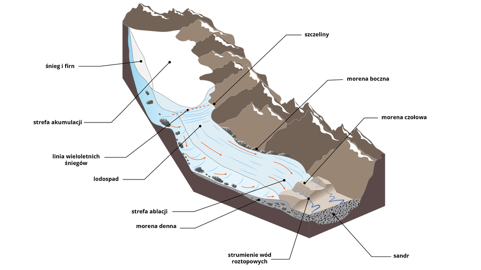 Na ilustracji przedstawiono schemat lodowca górskiego z zaznaczonymi jego elementami. Dolina jest to wklęsły fragment terenu pomiędzy górami, znajduje się w niej lodowiec. W górnej oraz w prawej stronie schematu są przedstawione wzniesienia górskie jako wypukłe twory zakończone ostrym czubkiem. Śnieg i firn jest umieszczony u góry ponad niebieską strukturą lodowca. W tym miejscu występuje strefa akumulacji. Poniżej lodowiec jest odkryty, rysunek tu przecina pozioma czerwona przerywana linia. Jest to linia wieloletnich śniegów. Po prawej stronie od linii znajdują się szczeliny. Poniżej linii wieloletnich śniegów jest lodospad. Wzdłuż lodowca biegną strzałki skierowane w dół. Po prawej stronie równolegle do lodowca znajduje się morena boczna -  niewielkie wzniesienie o zaokrąglonych szczytach. W dolnej części lodowca jest strefa ablacji. Na wysokości strefy ablacji występuje morena denna. Na końcu pokrywy lodowej wiją się strumienie wód roztopowych. Na ich wysokości znajduje się sandr. Jest przedstawiony jako struktura wypełniona materiałem skalnym.