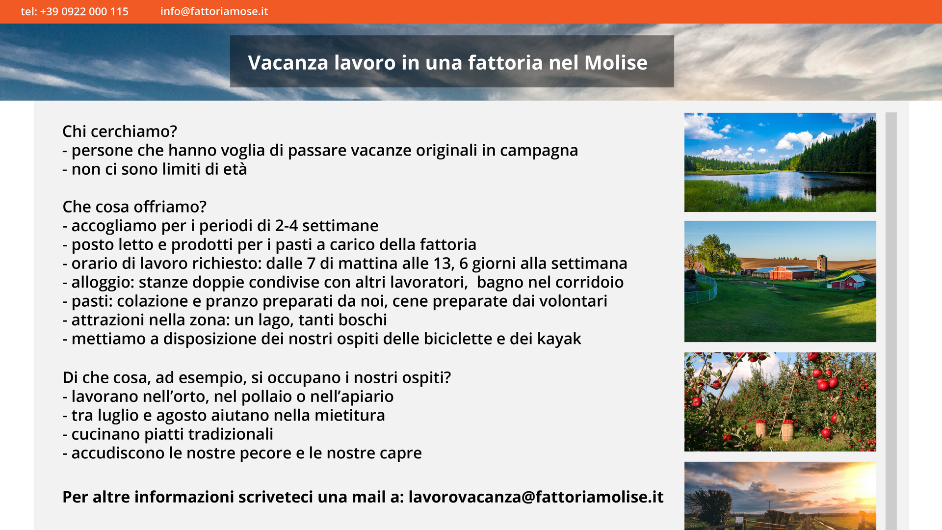 Ilustracja przedstawia ofertę wakacji, w zamian za pracę w gospodarstwie rolnym.
Na cienkim pasku na górze grafiki, znajduje się numer telefonu +39 0933 000 115 oraz adrez mailowy info@fattoriamose.it
Poniżej na tle fragmentu zdjęcia nieba widoczny jest napis Vacanza lavoro in una fattoria nel Molise
Po prawej stronie grafiki znajdują się małe zdjecia przedstawiające wiejski krajobraz (jezioro otoczone lasami, małe domki gospodarstwa rolnego wśród łąk, sad pełen drzew z czerwonymi jabłkami, zachód słońca nad polami.
W środkowej części widoczny jest tekst ogłoszenia:
Chi cerchiamo?
persone che hanno voglia di passare vacanze originali in campagna
non ci sono limiti di età
Che cosa offriamo?
accogliamo per i periodi di 2‑4 settimane
posto letto e prodotti per i pasti a carico della fattoria
orario di lavoro richiesto: dalle 7 di mattina alle 13, 6 giorni alla settimana
alloggio: stanze doppie condivise con altri lavoratori, bagno nel corridoio
pasti: colazione e pranzo preparati da noi, cene preparate dai volontari
attrazioni nella zona: un lago, tanti boschi
mettiamo a disposizione dei nostri ospiti delle biciclette e dei kayak
Di che cosa, ad esempio, si occupano i nostri ospiti?
lavorano nell’orto, nel pollaio o nell’apiario
tra luglio e agosto aiutano nella mietitura
cucinano piatti tradizionali
accudiscono le nostre pecore e le nostre capre
Per altre informazioni scriveteci una mail a: lavorovacanza@fattoriamolise.it