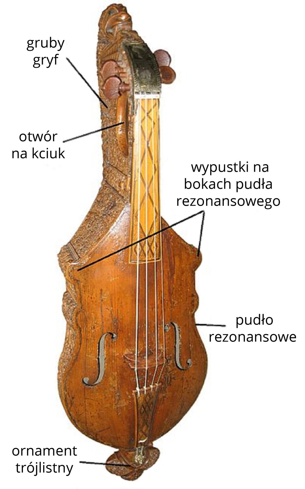 Zdjęcie przedstawia Citolę z Warwick. Jest to drewniany instrument strunowy. Instrument jest w kolorze brązowym. Posiada gruby gryf, otwór na kciuk. Na bokach pudła rezonansowego posiada wypustki  a na dole ozdobiony jest trójlistnym ornamentem.