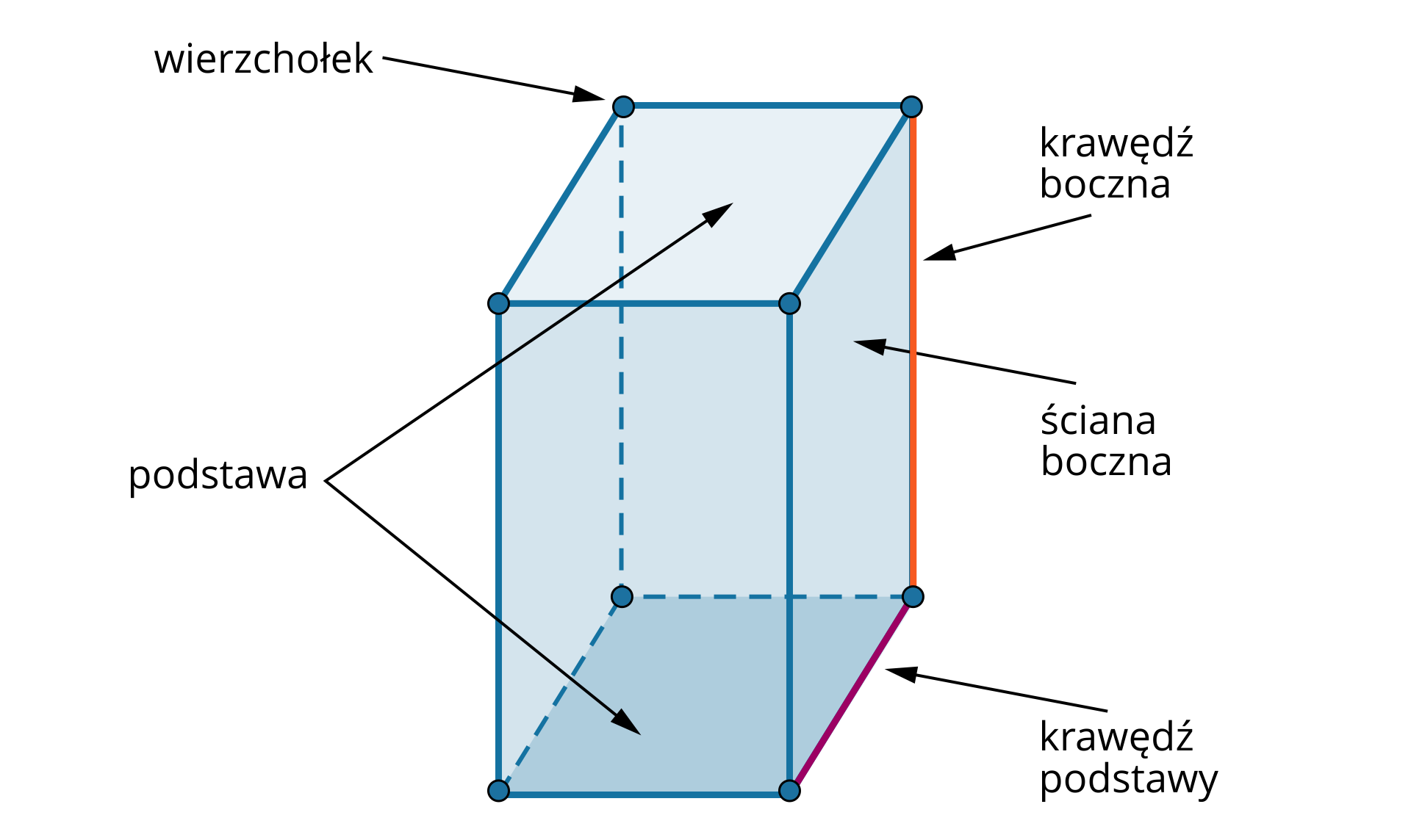 Na rysunku przedstawiony jest graniastosłup prosty. Zaznaczono na nim dwie podstawy, wierzchołek, boczą krawędź, ścianę boczną oraz krawędź podstawy. Zaznaczony wierzchołek znajduje się w górnym lewym rogu bryły, a krawędź boczna i podstawy oraz ściana boczna z prawej strony bryły. 