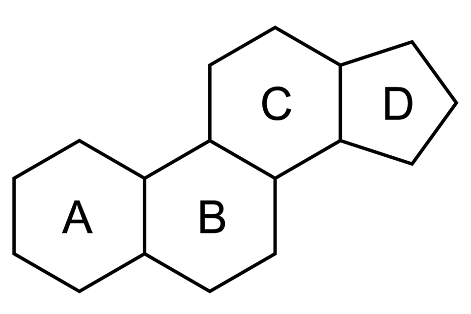 Grafika przedstawia schemat budowy steranu. Zbudowany jest on z trzech sześciowęglowych pierścieni oraz jednego pięciowęglowego pierścienia połączonych ze sobą. Pierścienie od lewej do prawej oznaczono odpowiednio A, B ,C oraz D. Pierścień D jest pierścieniem pięciowęglowym. Steran składa się z siedemnastu cząsteczek węgla.