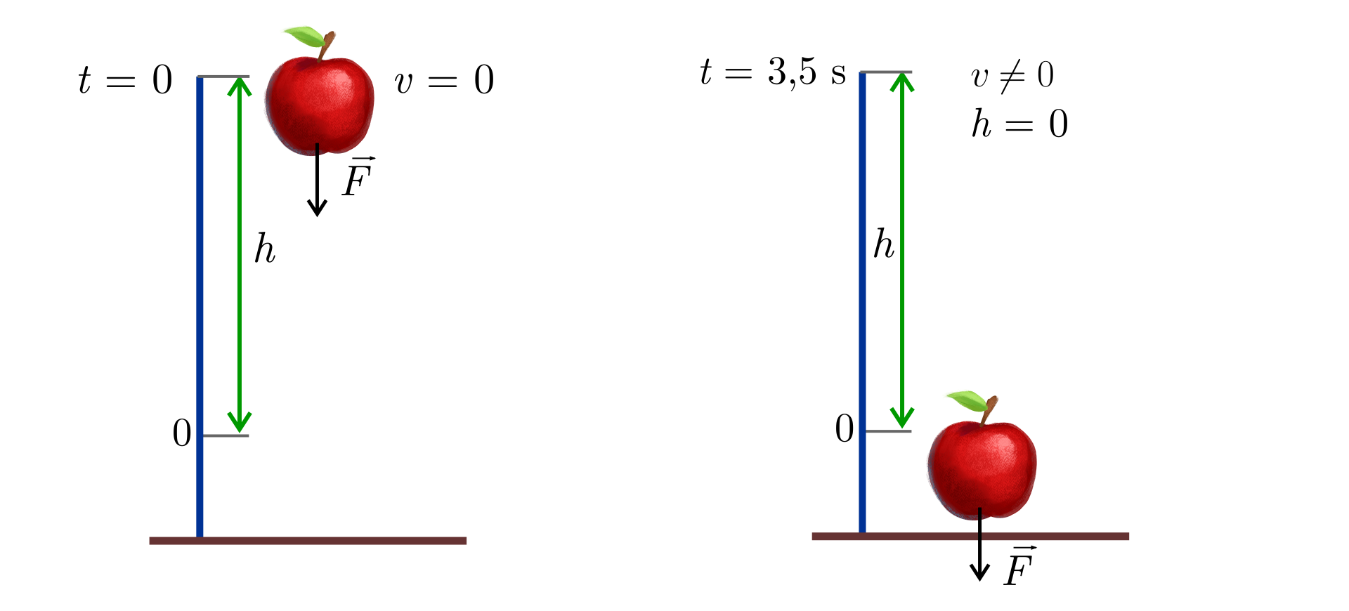 Dwa obrazki. Na pierwszym sytuacja w chwili początkowej. Jabłko o zerowej prędkości znajduje się na wysokości małe ha, od jabłka poprowadzony w dół wektor duże ef. te równe jest zero i fał równe jest zero. Na dole znajduje się prosta symbolizująca podłoże. Na drugiej ilustracji sytuacja w chwili te równe trzy i pół sekundy. Jabłko o niezerowej prędkości znajduje się na wysokości małe ha równe zero. Od jabłka odchodzi w dół wektor duże ef, identyczny z poprzednim. Jabłko znajduje się przy prostej symbolizującej podłoże.