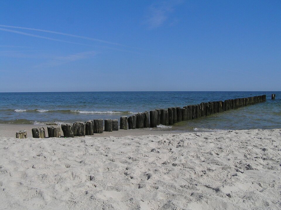 Ilustracja przedstawia plażę i morze. Widoczne są falochrony, czyli drewniane umocnienia wbite w plażę oraz dno morskie.