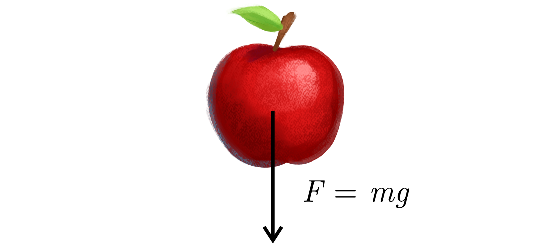 Na grafice umieszczono jabłko. Od środka jabłka w dół odchodzi wektor. Z prawej strony wektora wzór na siłę ciężkości: duże ef równa się małe em razy małe gie.