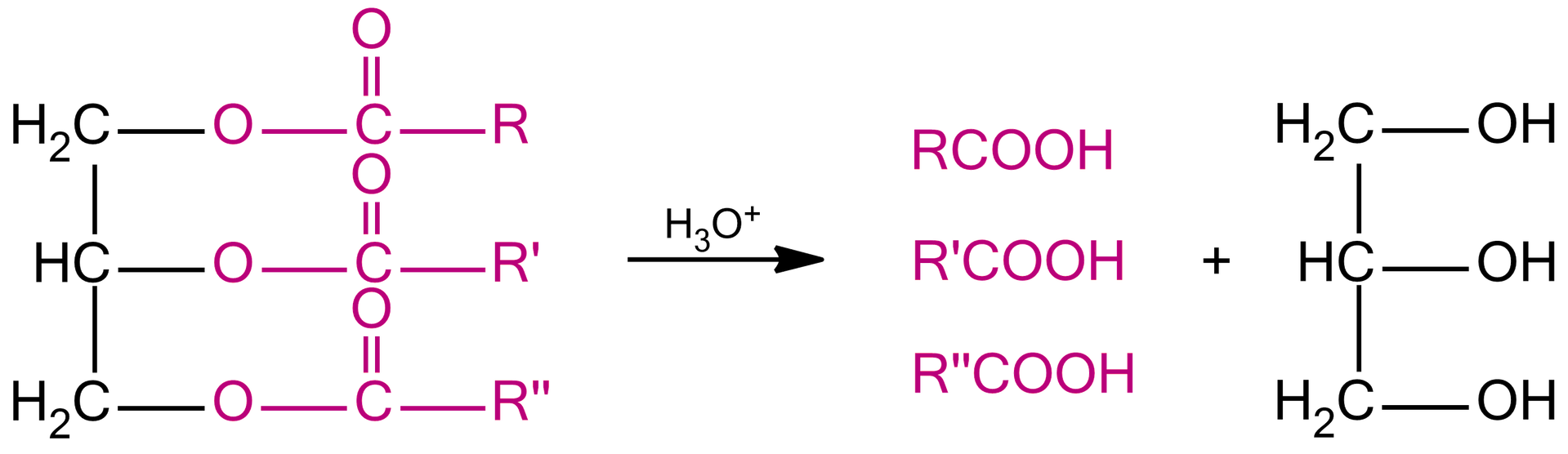Na ilustracji jest równanie reakcji: jedna cząsteczka tłuszczu strzałka w prawo, nad strzałką jon hydroniowy, jedna cząsteczka kwasu tłuszczowego dodać jedna cząsteczka glicerolu.     
