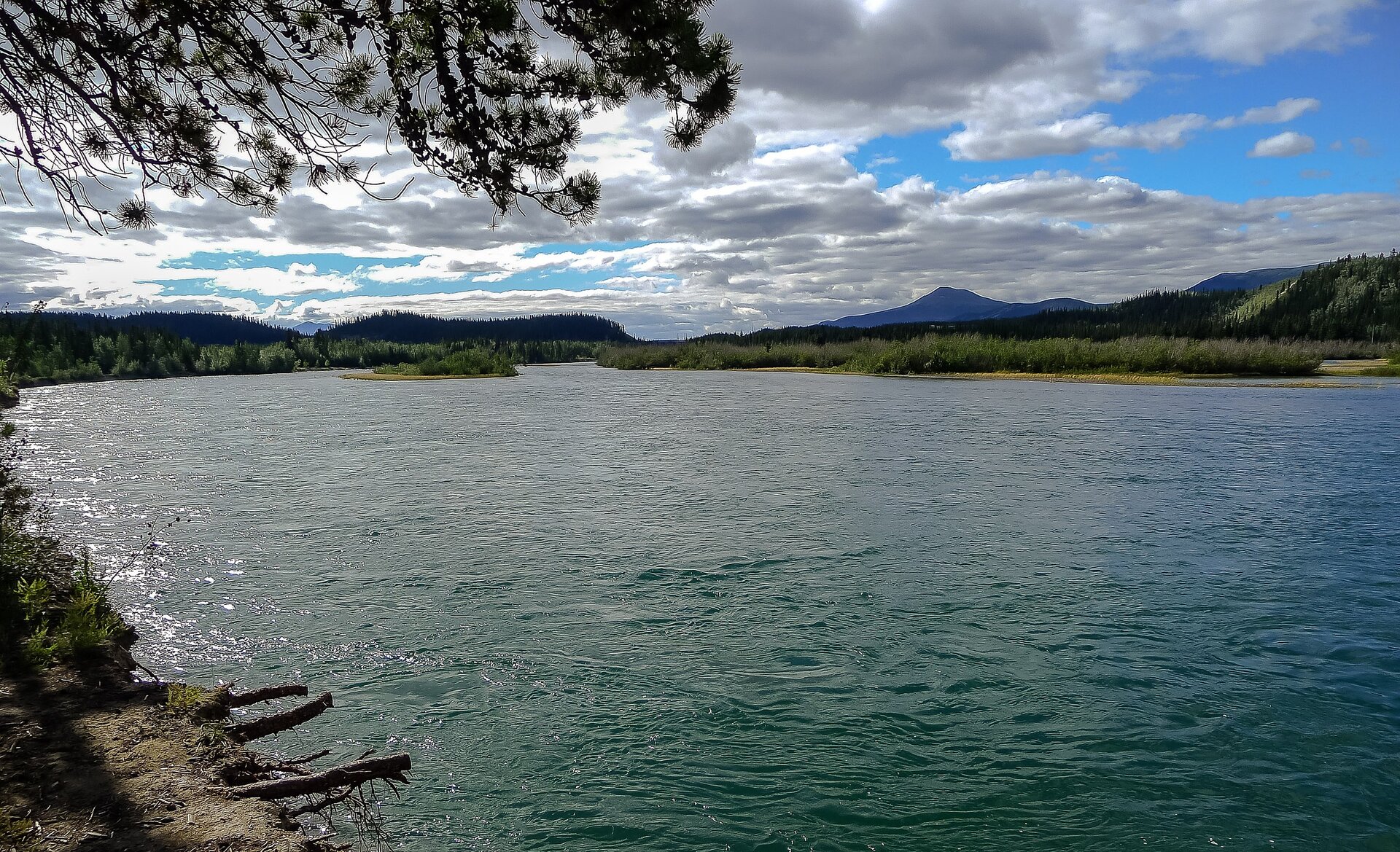 Na zdjęciu fragment rzeki. Przy brzegach drzewa i roślinność krzaczasta. W oddali teren górzysty. 