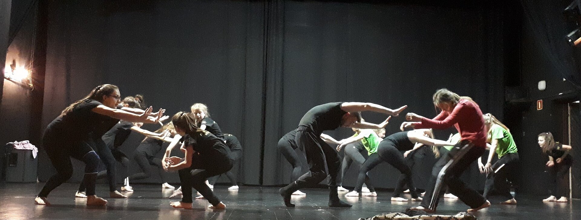 Na zdjęciu ukazane są tańczące osoby, znajdujące się na scenie. Tancerze stoją na ugiętych nogach, są lekko pochyleni i mają wyciągnięte do przodu ręce. Tło stanowi czarna tkanina. 