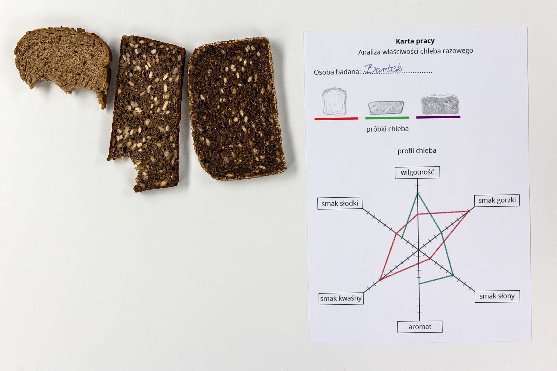 Fotografia przedstawia kartę pracy do analizy właściwości chleba razowego. Z lewej u góry trzy kromki różnych chlebów, dwie nadgryzione. Z prawej na karcie rysunki kromek i wybrany dla każdej kolor linii. Pod spodem skala właściwości chleba (wilgotność, aromat, smak). Odpowiednim kolorem wrysowane profile dwóch przebadanych próbek chleba.