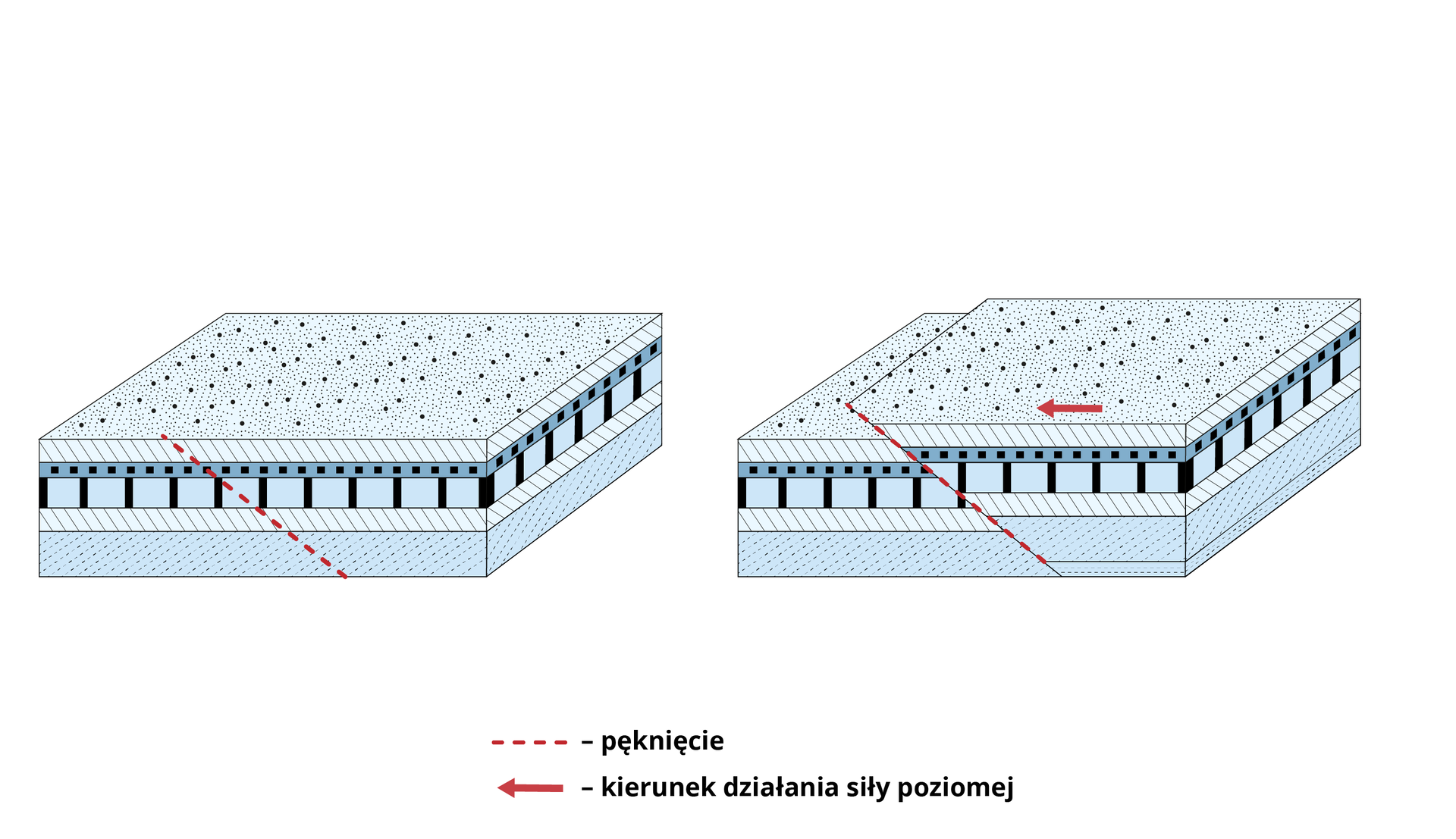 Dwa przekroje blokowe ukazują powstawanie płaszczowiny ze ścinania. Pierwszy przekrój ma boki w kształcie długich prostokątów, a podstawę i górę w kształcie dużego kwadratu. Z boku widać warstwy - dolna jest wypełniona małymi niebieskimi kropkami, kolejna warstwa to pasek z ukośnymi liniami, nad nią znajduje się warstwa z pionowymi czarnymi kreskami, dalej jest cienka warstwa z czarnymi małymi kwadratami, a nad nią znów warstwa z ukośnymi liniami. Przerywaną czerwoną linią zaznaczono pęknięcie - linia prowadzi ukośnie  przez wszystkie warstwy przekroju. Na drugim przekroju na poziomy fragment przekroju znajdujący się po prawej stronie od linii przerywanej jest nieco podniesiony względem fragmentu po lewej stronie od linii. Czerwona strzałka naniesiona na ten uniesiony fragment pokazuje w prawo - jest to kierunek działania siły poziomej.   