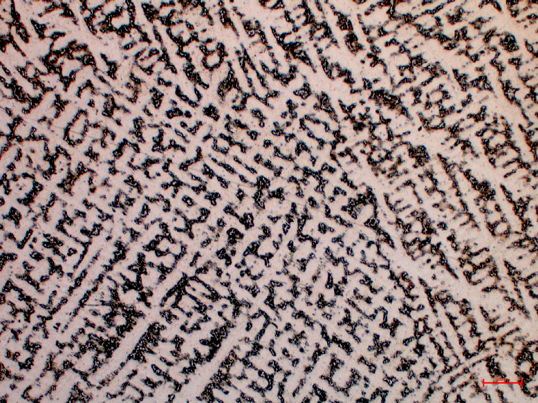 Mikrostruktura dendrytycznaCiemne dendryty ledeburytu na tle jasnej osnowy cementytowej - powiększenie 10x