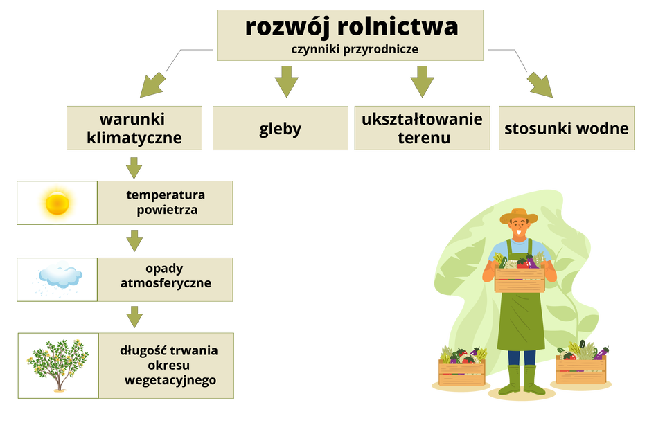 Diagram przedstawia czynniki przyrodnicze mające wpływ na rozwój rolnictwa. Z diagramu można odczytać, że pierwszym czynnikiem są warunki klimatyczne: temperatura powietrza, opady atmosferyczne oraz długość trwania okresu wegetacyjnego. Inne czynniki mające wpływ na rozwój rolnictwa to gleby, ukształtowanie terenu oraz stosunki wodne.