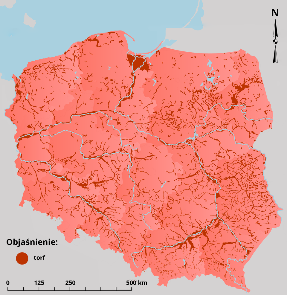 Mapa przedstawia rozmieszczenie torfowisk w Polsce. Zaznaczono je kolorem bordowym. Występują one w każdej jej części. Największe skupiska znajdują się na Żuławach Wiślanych, w Kotlinie Sandomierskiej, w Nizinie Wielkopolskiej, w Kotlinie Biebrzańskiej.