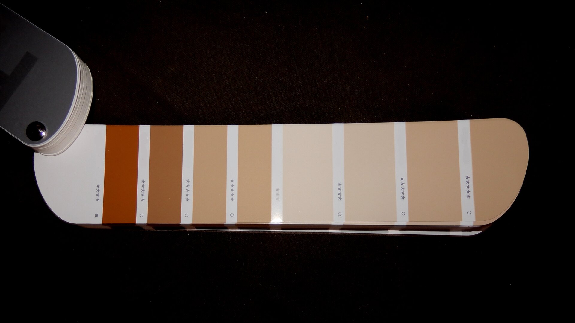 Ilustracja przedstawia próbnik kolorów. Ukazuje połączone paski, na których zamieszczone zostały kolory, tworzące zestawy monochromatyczne, pochodzące od koloru brązowego, który jest rozjaśniany, aż do jasnego beżu.