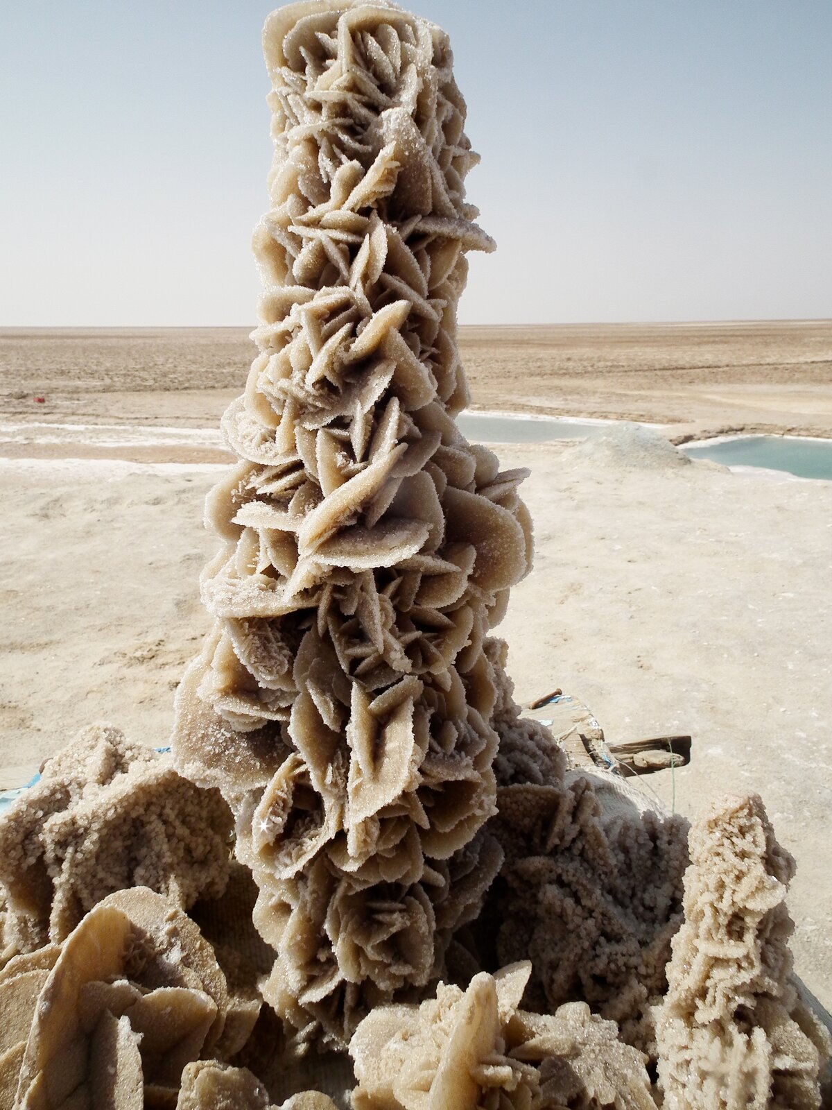 Pustynia w Tunezji i gipsowa "róża pustyni"