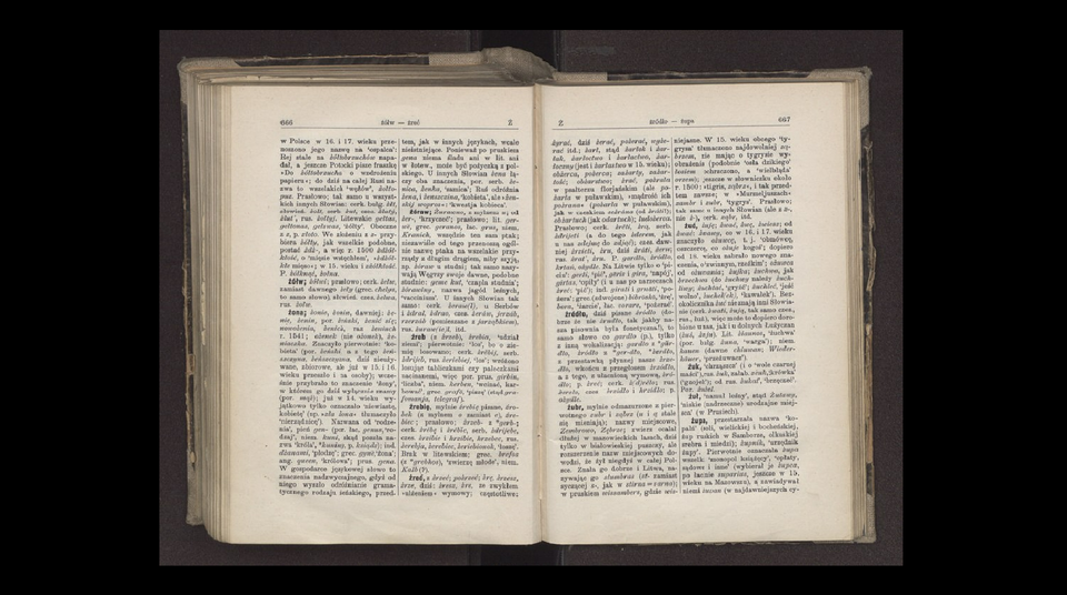 Skan rozkładówki słownika. Strony 666 i 667. Znajdują się na nich hasła na literę ż, m.in. Żona. Treść hasła: Żona; żonie, żonin, dawniej: żenie, żenin, por. żeński, żenić się; nowożenia, żenich, raz żeniuch r. 1541; ożenek (nie ożonek), żeniaczka. Znaczyło pierwotnie: ‘kobieta’ (por. żeński, a z tego żeńszczyna, żeńszczyzna, dziś nieużywane, zbiorowe, ale już w 15. i 16. wieku przeszło i na osoby); wcześnie przybrało to znaczenie ‘żony’, w którem go dziś wyłącznie znamy (por. mąż); już w 14. wieku wyjątkowo tylko oznaczało ‘niewiastę, kobietę’ (np. »zła żona« tłumaczyło ‘nierządnicę’). Nazwana od ‘rodzenia’, pień gen- (por. łac. genus, ‘rodzaj’, niem. kuni, skąd poszła nazwa ‘króla’, *kuning, p. ksiądz); ind. dżanami, ‘płodzę’; grec. gyne ‘żona’; ang. queen, ‘królowa’; prus. gena. W gospodarce językowej słowo to znaczenia nadzwyczajnego, gdyż od niego wyszło odróżnianie gramatycznego rodzaju żeńskiego, przedtem, jak w innych językach, wcale nieistniejące. Ponieważ po pruskiem gena nie ma śladu ani w lit. ani w łotew., może być pożyczką z polskiego. U innych Słowian żena łączy oba znaczenia, por. serb. żenica, żenka, ‘samica’; Ruś odróżnia żena, i żenszczina, ‘kobieta’, ale »żenskij wopros«: ‘kwestja kobieca’.