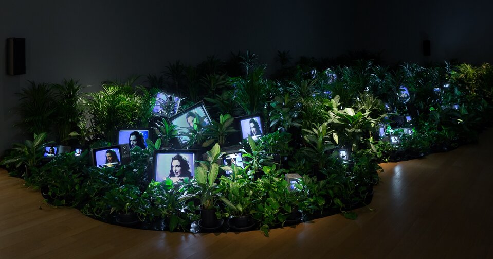 Praca autorstwa Nam June Paik pod tytułem: „TV Garden” przedstawia rozłożone na beżowych panelach, czarne doniczki z dużą ilością zielonych kwiatów, które są umieszczone jedna obok drugiej. Między nimi znajdują się powkładane między zieleń, małe, czarne telewizory z obrazem kobiety o długich włosach obróconej w prawą stronę. Urządzenia oświetlają ciemne pomieszczenie.