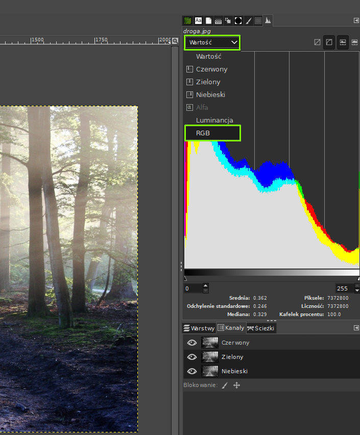 Ilustracja przedstawia fragment okna programu. Po lewej stronie w obszarze roboczym znajduje się część zdjęcia lasu. Po prawej stronie jest histogram. Jego górna warstwa jest w kolorach: po lewej stronie niebieskim, po prawej czerwonym i żółtym. Powyżej histogramu jest rozwinięta lista Wartości. Z listy wybrano RGB. Poniżej histogramu jest panel dotyczący warstw. Są warstwy o nazwach: czerwony, zielony, niebieski.    
