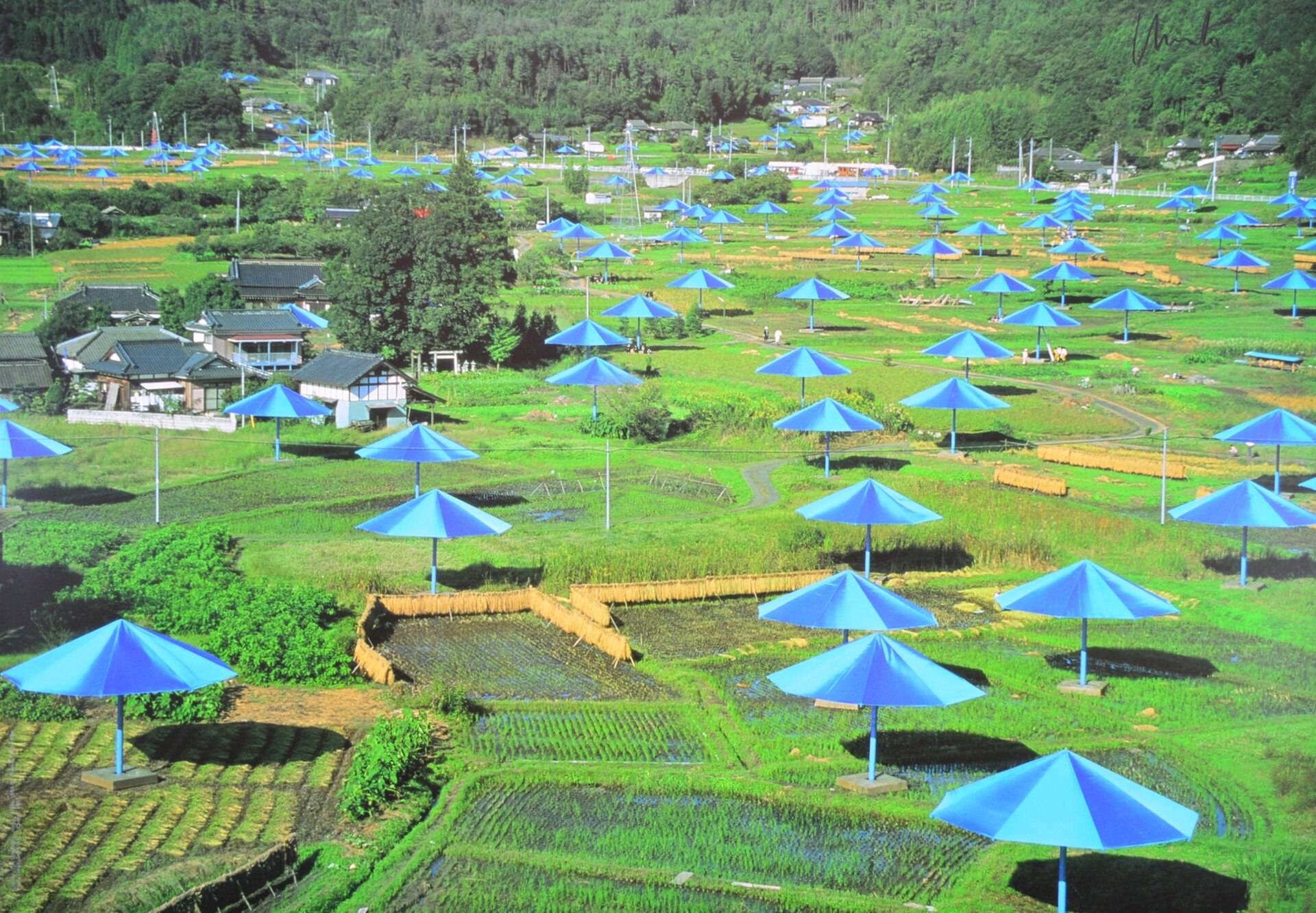 Ilustracja przedstawia pracę artystyczną na tle środowiska naturalnego - zielonego terenu uprawnego, gdzieniegdzie poprzeplatanego domkami. Znajdują się tam też krzewy i drzewa. Umieszczono tam niebieskie, duże parasole, w różnych odległościach od siebie. Parasole stoją na betonowych podstawach. Jest słoneczny dzień. Parasole rzucają cień. W tle rośnie las.