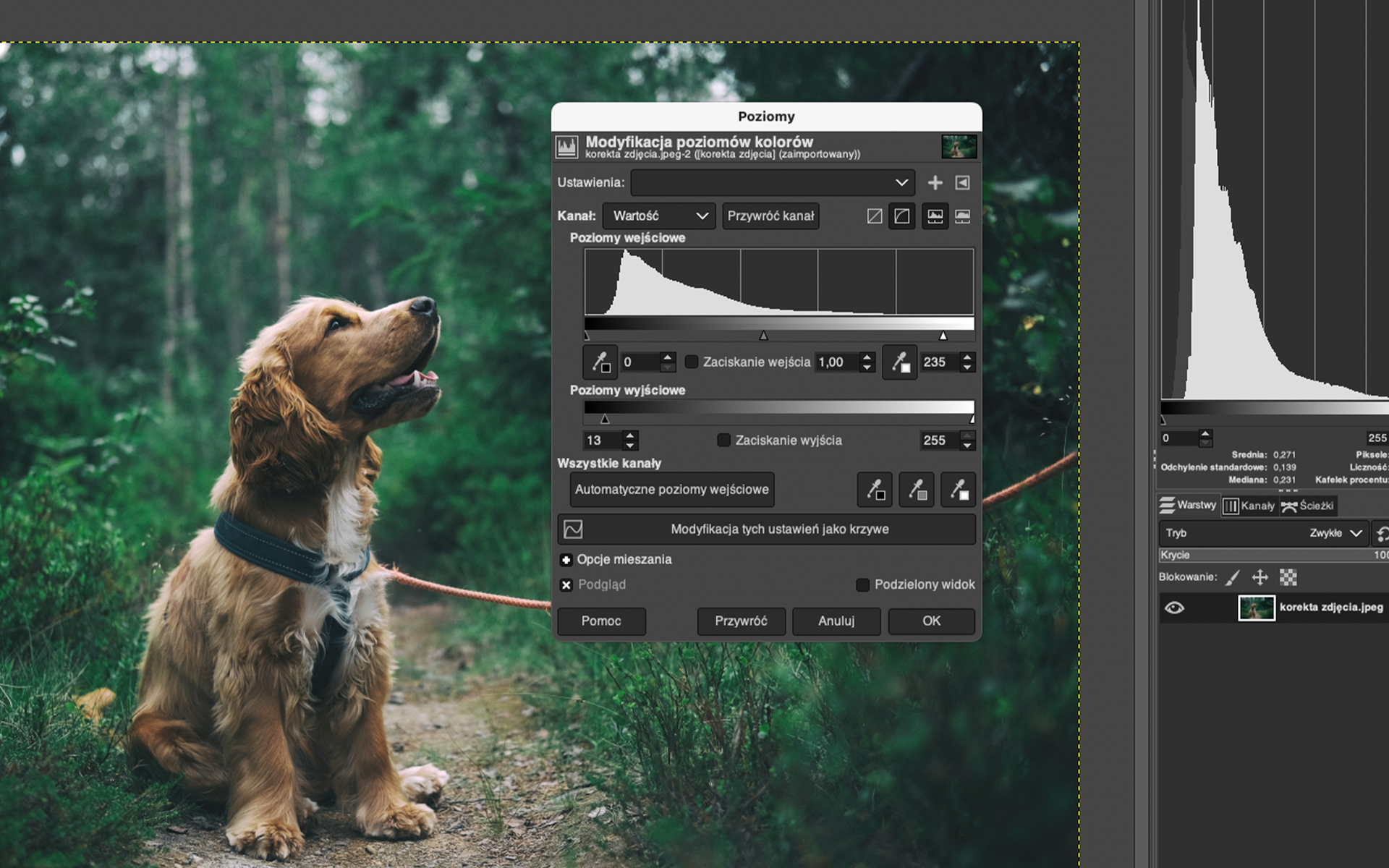 Ilustracja przedstawia okno dialogowe. W obszarze roboczym jest pies siedzący na wąskiej leśnej ścieżce. Na tle zdjęcia wyświetla się okno dialogowe o nazwie: Poziomy. Tam parametry. Między innymi pokazano histogram - jest wyższy po lewej stronie. Po prawej stronie okna jest histogram oraz panel dotyczący warstw. Jest jedna warstwa o nazwie: korekta zdjęcia.jpeg. 