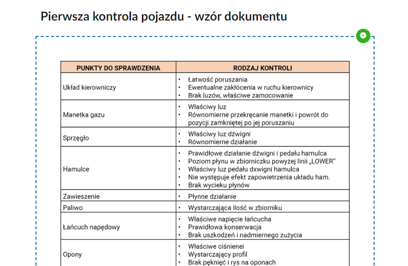 Przykładowy widok dokumentu
