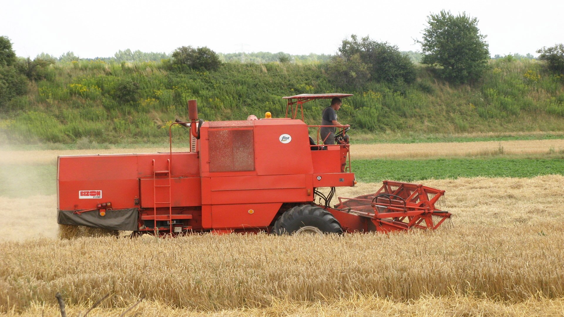Fotografia przedstawiająca rolnika w trakcie prac żniwnych. Mężczyzna prowadzi kombajn, którym kosi dojrzałe zboże. W tle pagórek porośnięty krzakami i trawą.