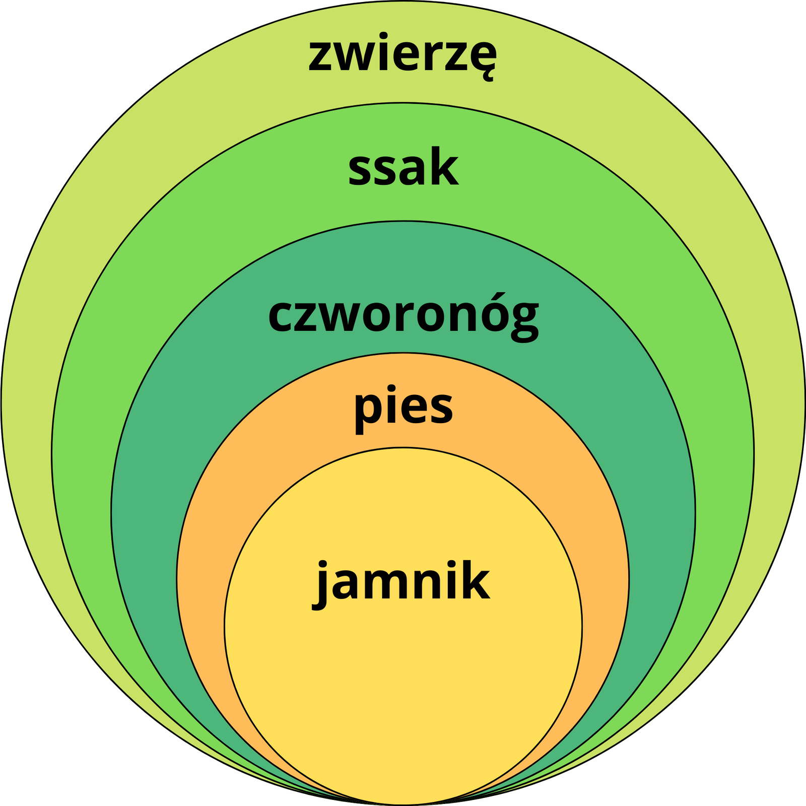 Grafika przedstawia kolorowe okręgi, w których największe, obejmujące najszerszy zakres wyrazowy, zawierają coraz mniejsze, o węższym zakresie wyrazowym, z podpisami: zwierzę, ssak, pies, jamnik.