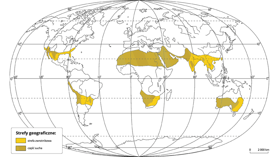 Mapa świata przedstawia położenie strefy zwrotnikowej suchej. Część zwrotnikowa obejmuje północną część Meksyku, południowo‑wschodnie krańce Stanów Zjednoczonych (między innymi Florydę), północną Afrykę bez wybrzeża śródziemnomorskiego, Półwysep Arabski i Bliski Wschód, Półwysep Indyjski i Indochiński, środkowy pas Ameryki Południowej (w tym wąski pas wybrzeża pacyficznego sięgający od 30 stopnia szerokości geograficznej południowej aż w okolice równika), południową Afrykę (bez samego południowego krańca kontynentu) oraz większą część Australii (bez północnych i południowych krańców kontynentu). Część sucha obejmuje południowy kraniec USA oraz północną część Meksyku, wąski pas wybrzeża pacyficznego sięgający od 30 stopnia szerokości geograficznej południowej aż w okolice równika, w południowej części Afryki jej zachodnią część, północną część Afryki, cały Półwysep Arabski, Pakistan, obszar w południowej części Indii oraz w południowej części Półwyspu Indochińskiego i na północnym zachodzie tego półwyspu, południowo‑zachodnie rejony Australii sięgające aż do pasa wilgotnego na wschodzie kraju.    