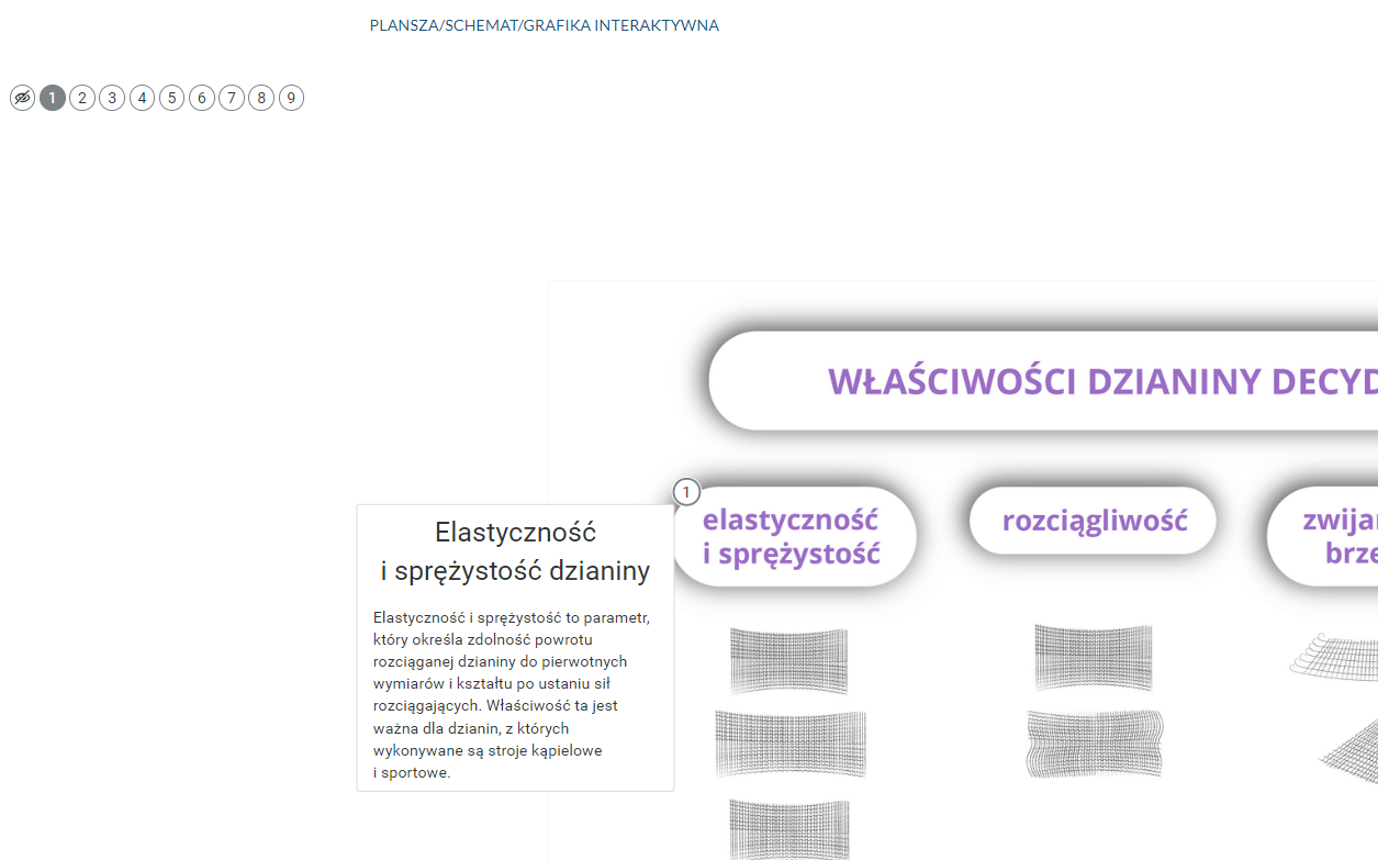 Grafika przedstawia przykładowy widok grafiki interaktywnej z otwartym oknem z dodatkowymi informacjami tekstowymi.