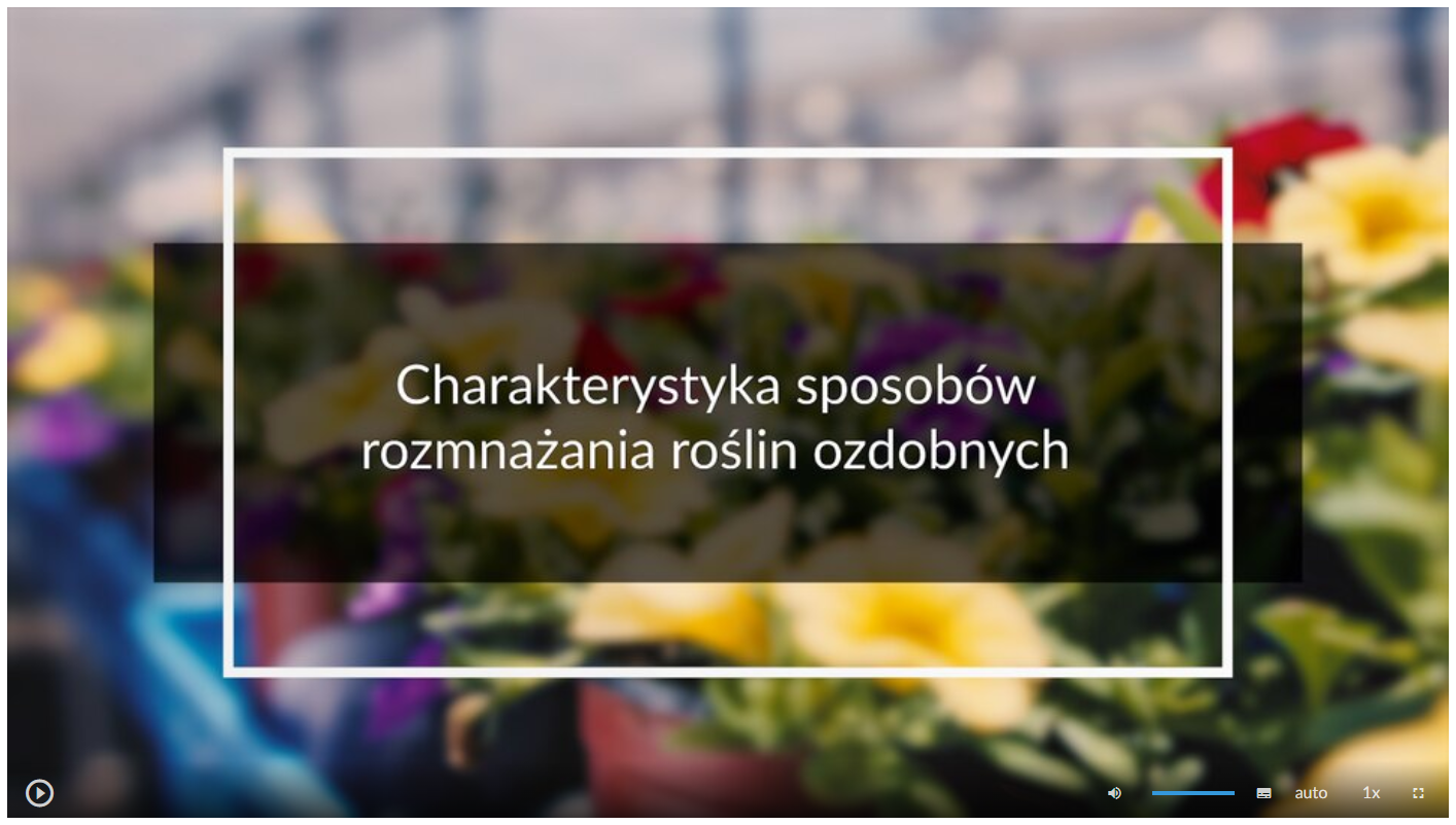djęcie przedstawia wygląd ekranu odtwarzania filmu. Ekran startowy przedstawia kolorowe kwiaty w donicach stojące w szklarni lub tunelu. Na tle zdjęcia umieszczono tytuł filmu: Charakterystyka sposobów rozmnażania roślin ozdobnych. W dolnej części ekranu znajdują się ikony z różnymi opcjami. W lewym dolnym rogu widać ikonę trójkąta w kółku. Jest to ikona włączania odtwarzania filmu. Kolejna ikona znajduje się dopiero w połowie ekranu dolnego paska. Jest to ikona megafonu. Obok niej widać niebieski pasek, który oznacza poziom głośności. Dalej znajduje się mały biały prostokąt z czarnymi paskami w jego dolnej części. Pozwala ona na włączenie napisów. Kolejna ikona to napis auto, która umożliwia wybranie jakości filmu. Obok niej widać ikonę jedynki z iksem. Po kliknięciu na nią można wybrać szybkość odtwarzania filmu. Ostatnia ikona to kreski tworzące kwadrat. Kreski te tworzą jedynie krawędzie kwadratu. Jest to opcja włączania trybu pełnoekranowego.