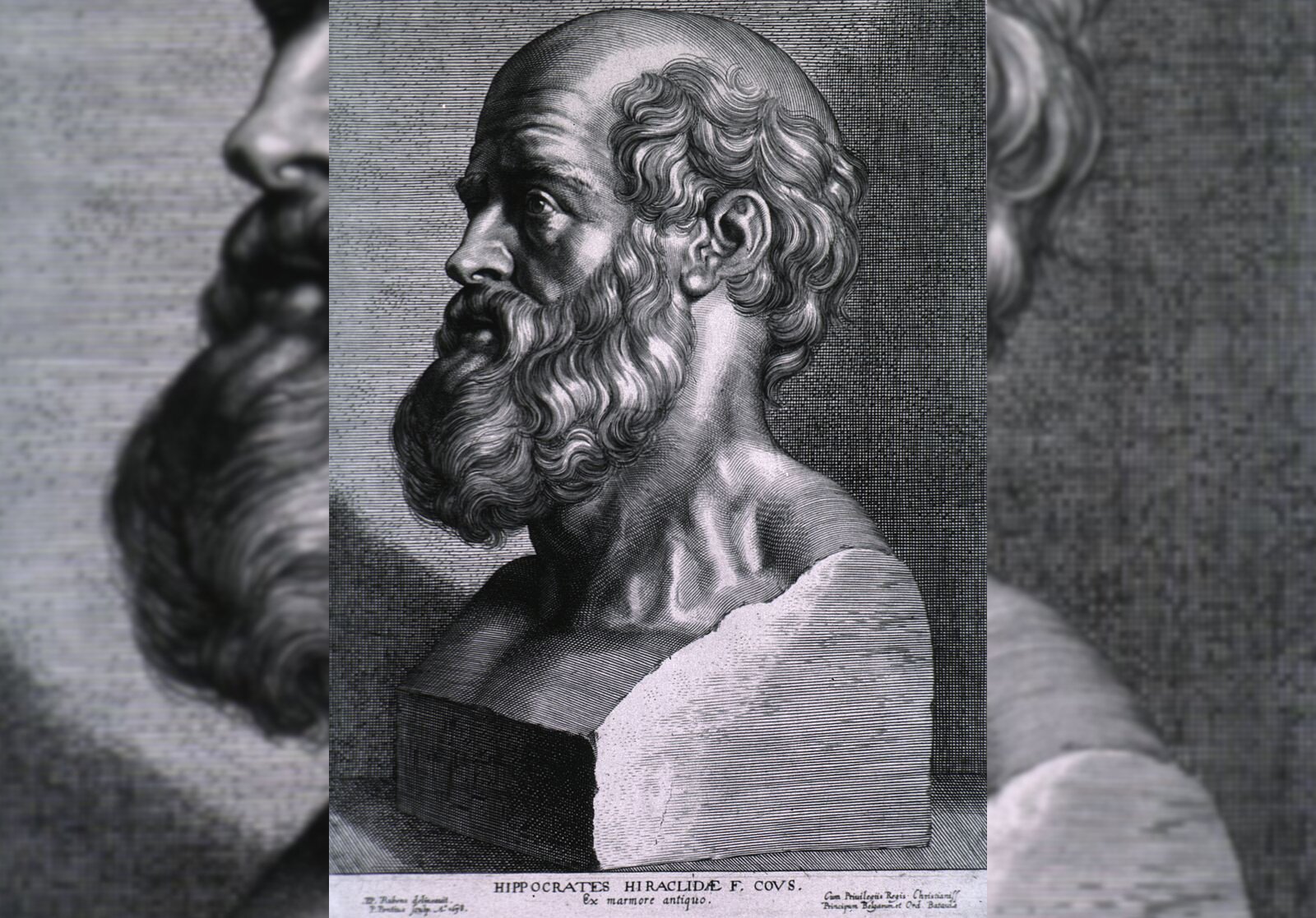 Obraz przedstawia popiersie starszego mężczyzny. Ukazany jest jego lewy profil. Mężczyzna jest łysiejący, ma krótkie, lekko falujące włosy. Ma długą, gęstą brodę i wąsy. Na jego twarzy widoczne są zmarszczki.