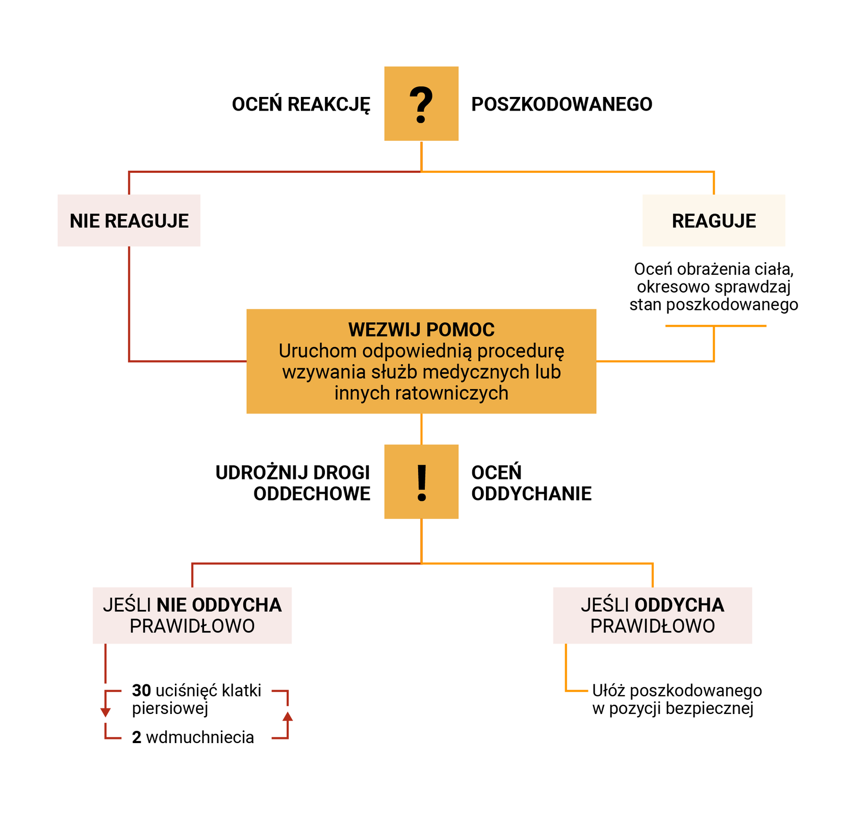 Grafika przedstawia schemat postępowania w przypadku udzielania pierwszej pomocy. W pierwszym kroku oceń reakcję poszkodowanego. Jeśli nie reaguje, wezwij pomoc. Jeśli reaguje, oceń obrażenia ciała i okresowo sprawdzaj stan poszkodowanego. Następnie wezwij pomoc. - Uruchom odpowiednią procedurę wzywania służ medycznych lub innych służb ratowniczych. W kolejnym kroku udrożnij drogi oddechowe lub oceń oddychanie. Jeśli poszkodowany nie oddycha prawidłowo wykonaj 30 uciśnięć klatki piersiowej oraz 2 wdmuchnięcia w kilku cyklach. Jeśli oddycha prawidłowo, ułóż poszkodowanego w pozycji bezpiecznej. 