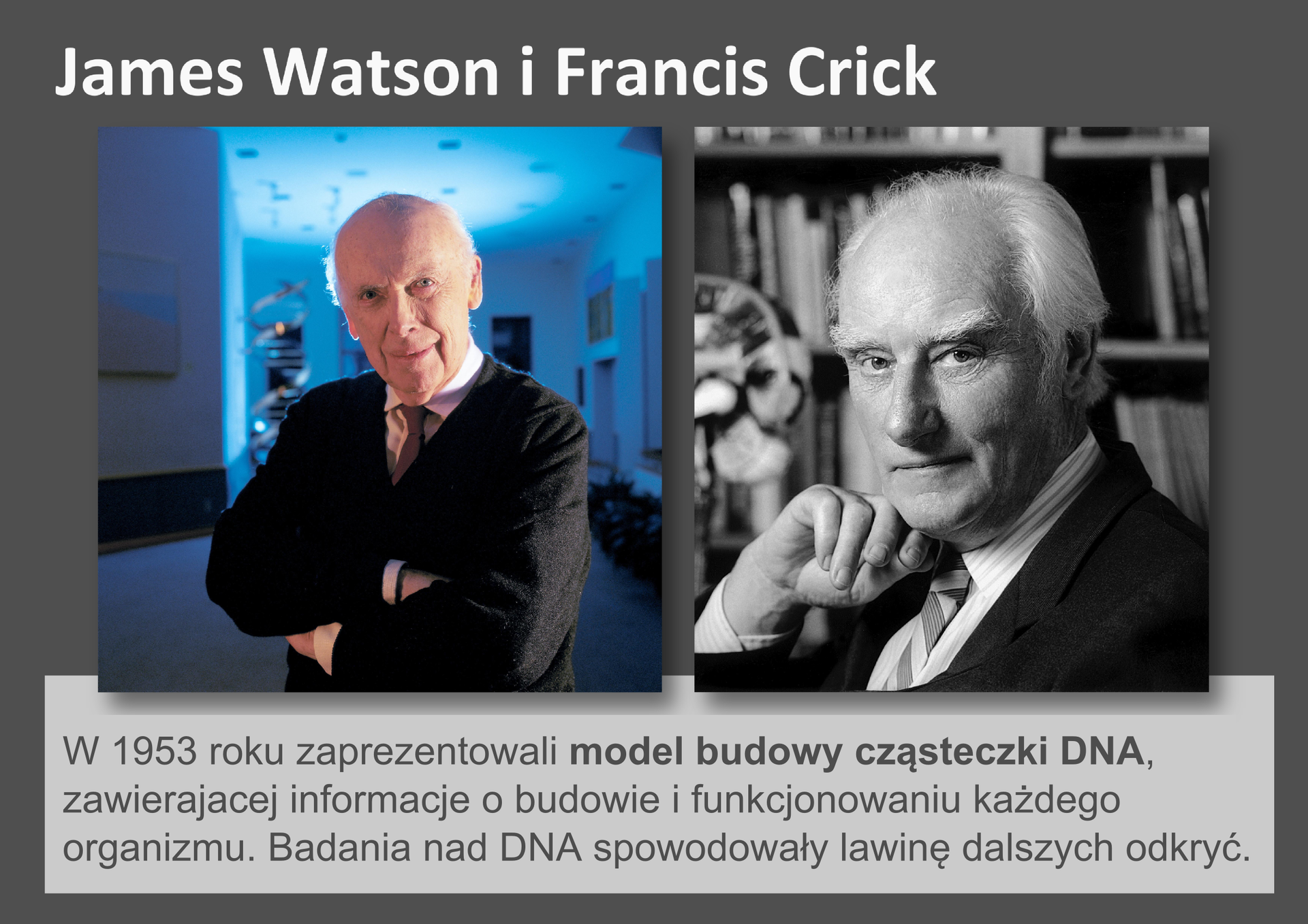 Galeria przedstawia pionierów nauk przyrodniczych. Składa się z dziewięciu slajdów w postaci ilustracji i umieszczonego obok opisu. Ilustracje pojawiają się kolejno, kiedy klika się w strzałki, znajdujące się po prawej i lewej stronie ilustracji. Ostatni slajd to fotografie dwóch uśmiechniętych, angielskich uczonych: Jamesa Watsona i Francisa Cricka. W 1953 roku zaprezentowali model budowy cząsteczki DNA, co zapoczątkowało wiele nowych odkryć.