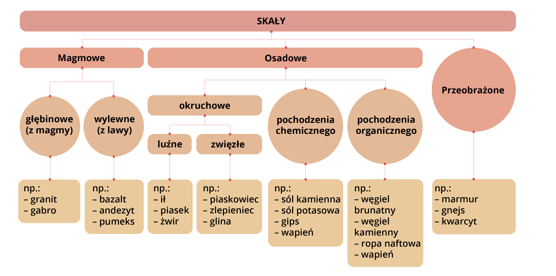 Schemat przedstawiający rodzaje skał. Dzielą się na osadowe, magmowe i przeobrażone. Magmowe dzielą się na głębinowe (z magmy) na przykład granit i gabro oraz na wylewne (z lawy) na przykład bazalt, andezyt, pumeks. Osadowe dzielą się na okruchowe, które dzielą się na luźne (na przykład ił, piasek, żwir) i zwięzłe (na przykład piaskowiec, zlepieniec, glina). Pochodzenia chemicznego (na przykład sól kamienna, sól potasowa, gips, wapień); Pochodzenia organicznego (na przykład węgiel brunatny, kamienny, ropa naftowa, wapień). Skały przeobrażone to na przykład marmur, gnejs, kwarcyt.