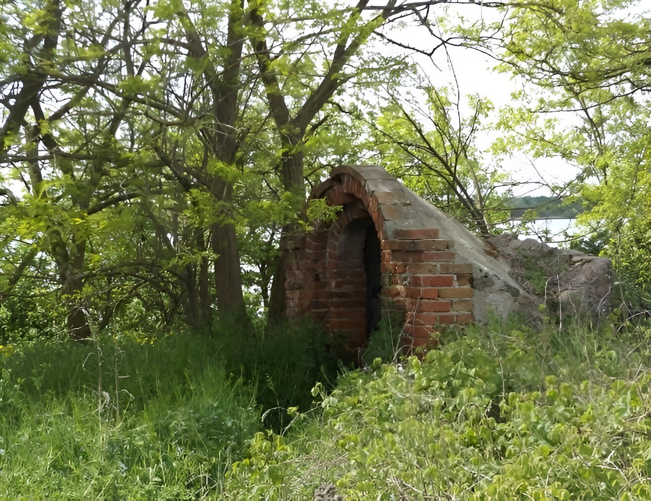 Fotografia przedstawia murowaną z czerwonej cegły piwnicę, wokół niej drzewa i krzewy. 