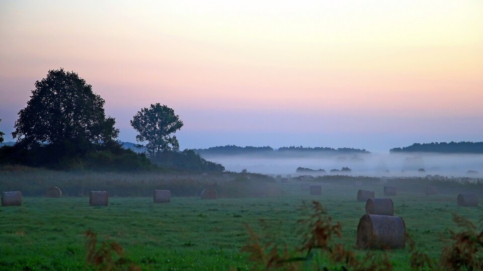 Zdjęcie przedstawia warstwę delikatnej mgły unoszącej się nad polami. Na polu znajduje się zielona trawa, gdzieniegdzie leżą baloty słomy. W dali widać kilka wysokich drzew, a na linii horyzontu las. Na niebie widoczne są barwy zachodu słońca - czerwień i niebieski.