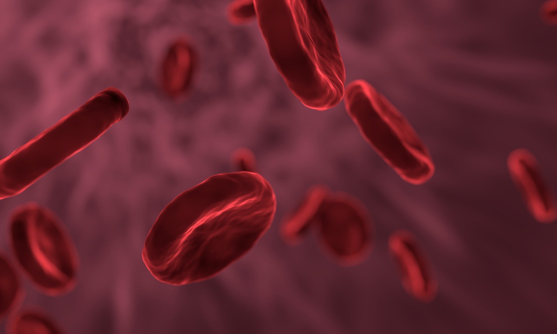 Grafika przedstawiająca erytrocyty w krwiobiegu. Komórki te mają kształt dwuwklęsłych dysków koloru krwistoczerwonego.