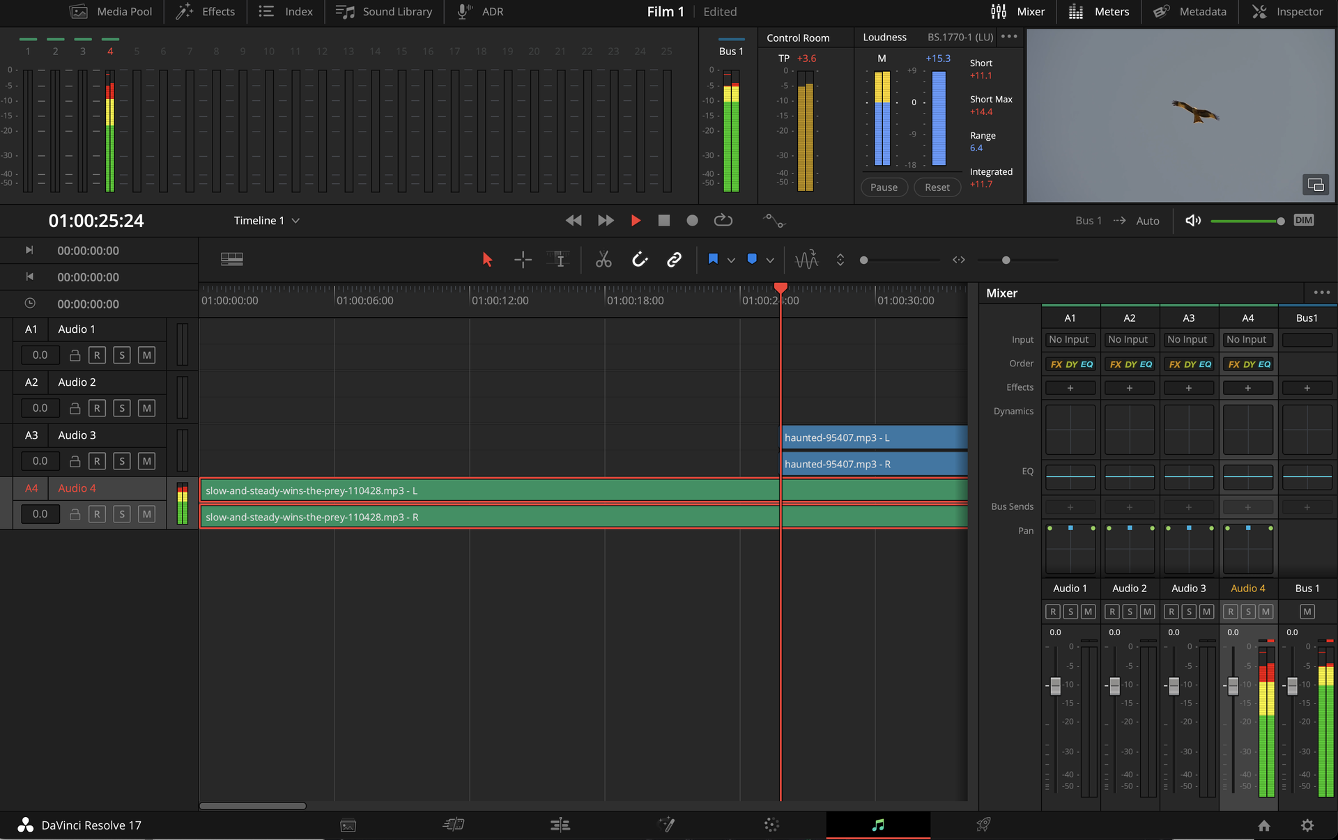 Ilustracja przedstawia otwarty program DaVinci Resolve. Zaznaczono w nim czwartą ścieżkę audio. U góry ekranu znajdują się ścieżki audio, a po prawej stronie mikser dźwięków. W prawym górnym rogu znajduje się podgląd wideo, na którym znajduje się lecący ptak drapieżny. 