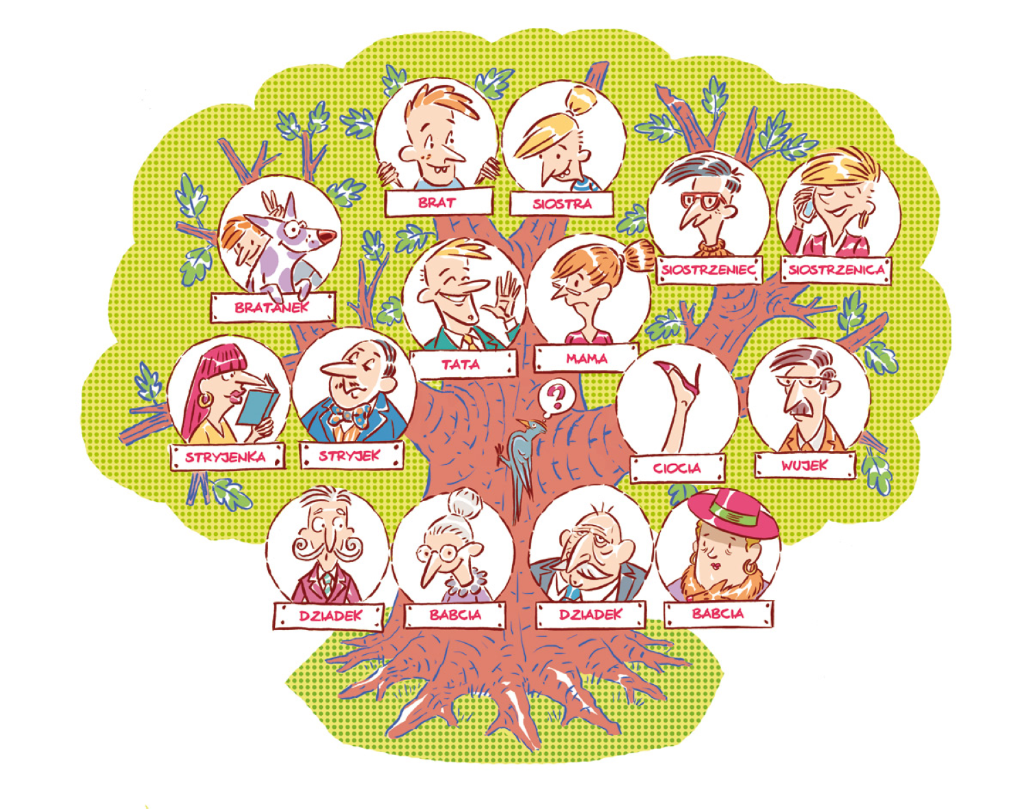 Ilustracja przedstawia drzewo. Na jego pniu umieszczone są rysunki z podpisami: starszy mężczyzna z wąsami z podpisem "dziadek", starsza kobieta z włosami spiętymi w kok z podpisem "babcia", starszy łysy mężczyzna z wąsami podpisany "dziadek", starsza kobieta w kapeluszu i kolczykami w uszach podpisana "babcia". Powyżej, na gałęziach, również są rozmieszczone rysunki z podpisami. Na środku drzewa umieszczone są rysunki: mężczyzny w blond włosach w garniturze, który się uśmiecha i podpisany jest "tata" oraz kobiety w okularach z poważną miną i włosami związanymi w węzeł podpisanej "mama". Od mamy i taty odchodzą gałęzie, na których jest chłopiec podpisany "brat" i dziewczynka z włosami związanymi w węzeł podpisana "siostra". Na gałęziach odchodzących od taty znajduje się kobieta z długimi włosami i z grzywką, czytająca książkę, podpisana "stryjenka", mężczyzna uczesany z przedziałkiem, ubrany w garnitur z muszką przy szyi, podpisany "stryjek" oraz chłopiec z psem podpisany "bratanek". Od mamy odchodzą gałęzie, na których są: rysunek nogi z ubranym butem na obcasie, podpisany "ciocia", mężczyzna w okularach i z wąsami podpisany "wujek", od których odchodzą gałęzie z rysunkiem chłopaka w okularach podpisanym "siostrzeniec", dziewczyny z krótkimi włosami rozmawiającej przez telefon podpisanej "siostrzenica".