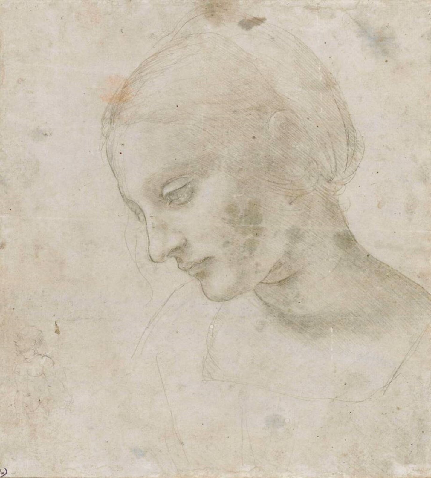 Rysunek autorstwa Leonardo da Vinci przedstawia studium do obrazu – twarz Madonny, która na etapie szkicu różniła się od tej z obrazu. Na rysunku Madonna ma szeroko otwarte oczy oraz inny nos i usta. Kobieta na rysunku wydaje się młodsza. 
