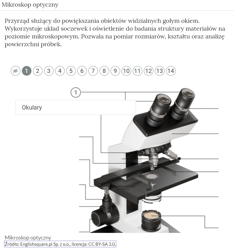 Przykładowy schemat w atlasie interaktywnym