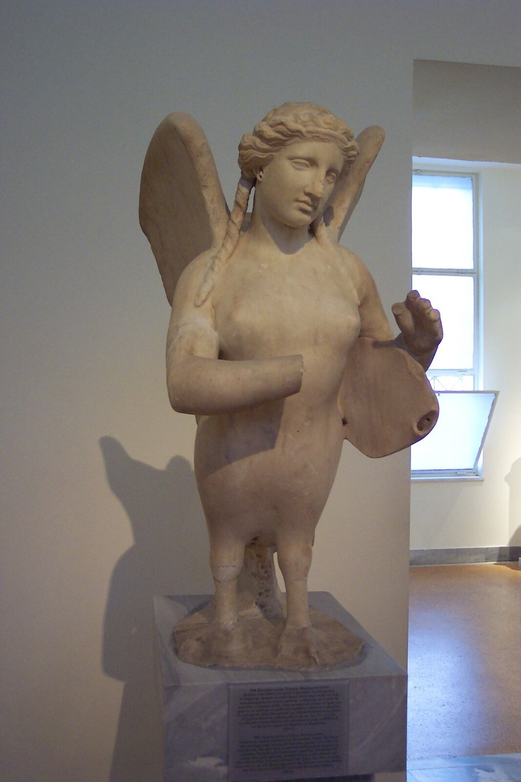 Ilustracja przedstawia marmurową rzeźbę mitycznej syreny. Jest to pół kobieta, pół ptak. Ma długie włosy splecione w warkocze, piersi i ludzkie ramiona. Od pasa w dół jest ptakiem o krótkich nogach zakończonych płetwami. Na plecach widoczne są skrzydła.