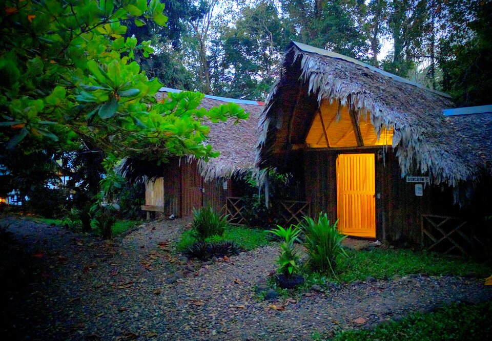 Na fotografii jest ekohotel umiejscowiony w Gwatemali. Znajduje się w liściastym lesie. Składa się z dwóch drewnianych chat pokrytych gałęziami drzew liściastych. Jedna z chat jest oświetlona wewnątrz. Przed chatą znajduje się przestrzeń wysypana kamieniami. Przy wejściu do domków rośnie trawa i kilka roślin o długich, pierzastych liściach.