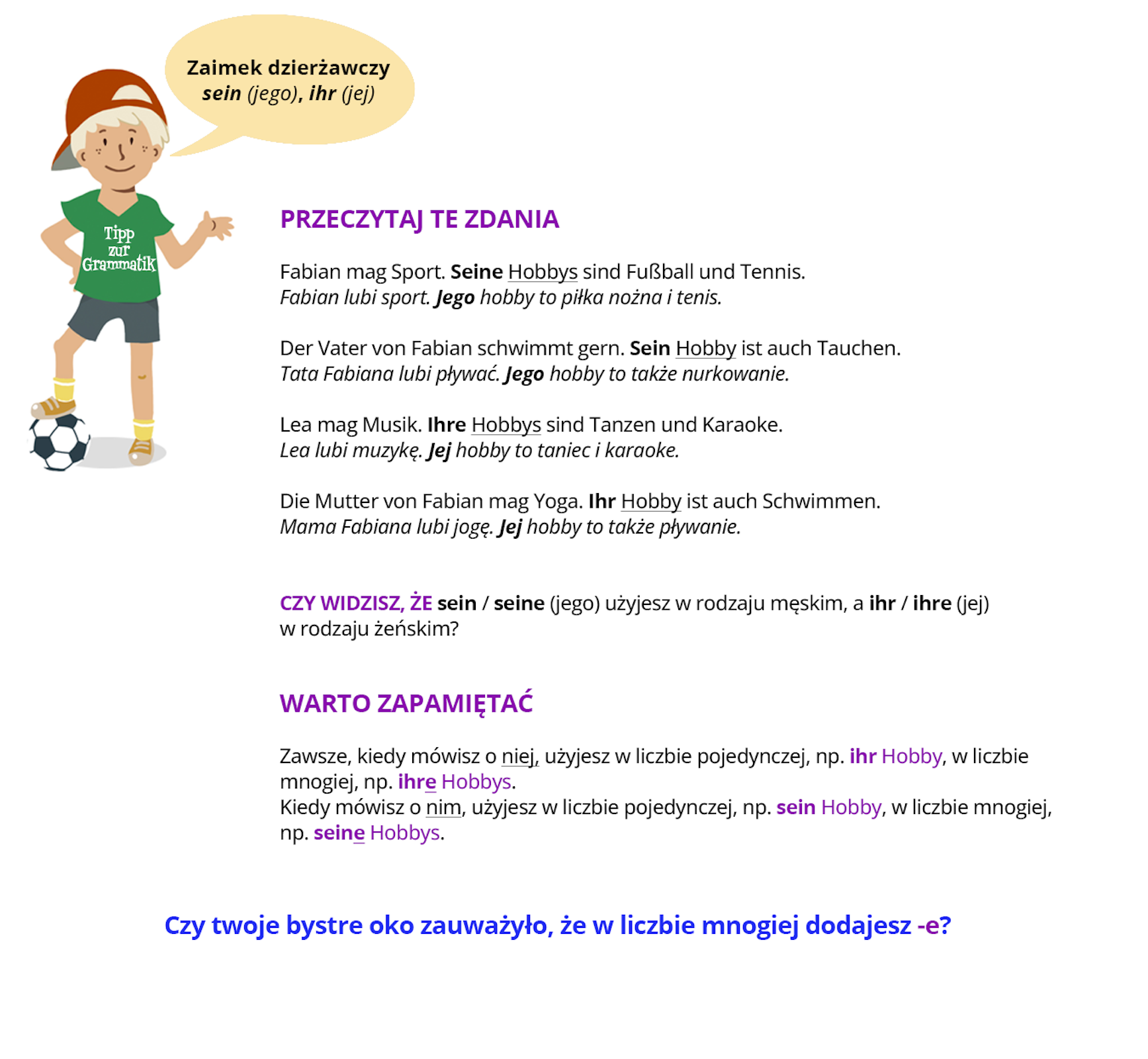 Ilustracja zawiera poradę językową.
Grafika przedstawia chłopca w czapce z daszkiem, w zielonej koszulce z napisem Tipp zur Grammatik oraz szarych spodenkach. Pod nogą trzyma piłkę. 
Chłopiec mówi: Zaimek dzierżawczy sein (jego), ihr (jej).
Pozostałą część ilustracji stanowi tekst, którego treść wyświetla się w trybie dostępności.