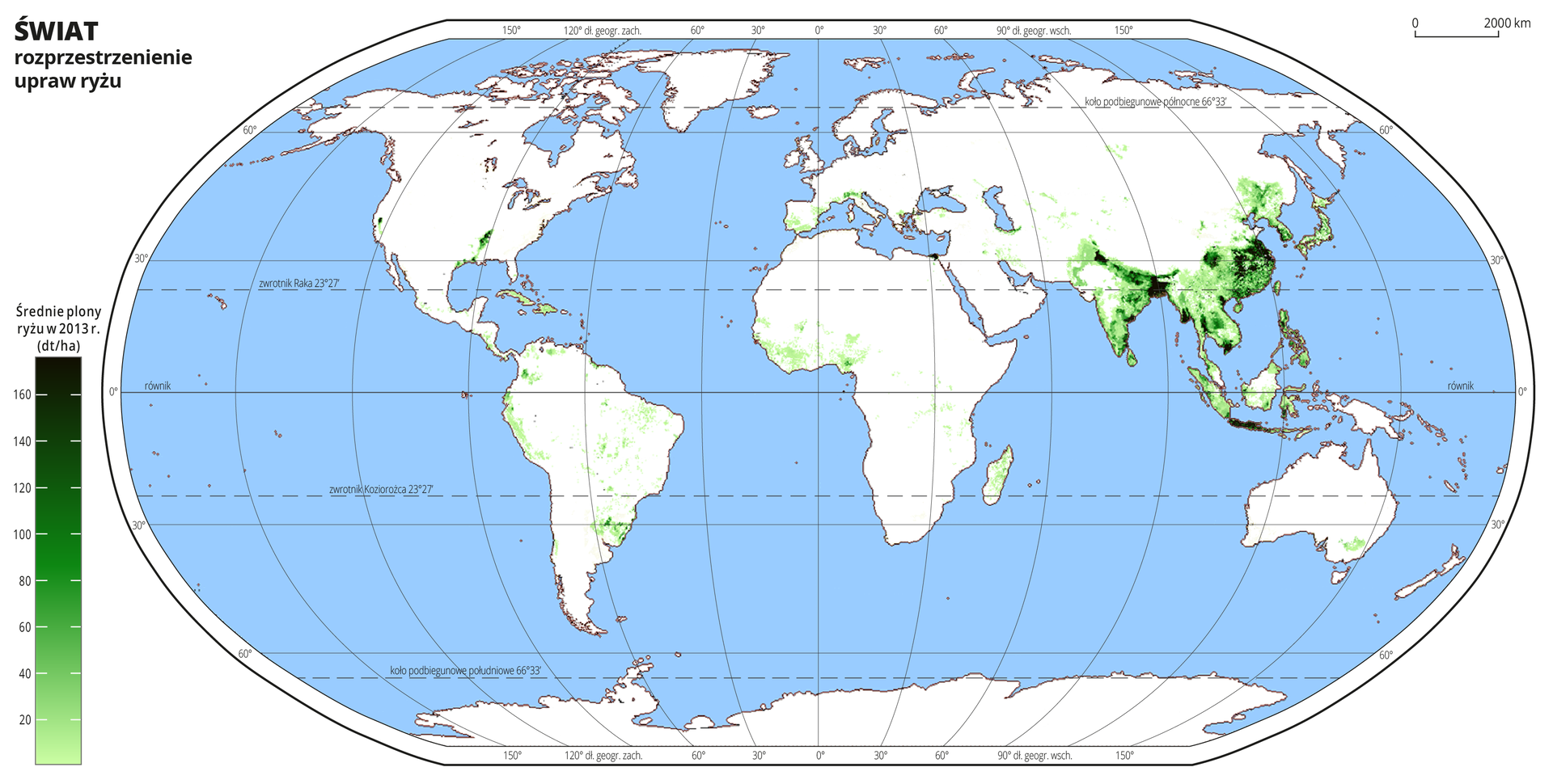 Ilustracja przedstawia mapę świata. Wody zaznaczono kolorem niebieskim.Na mapie odcieniami koloru zielonego zaznaczono średnie plony ryżu w decytonach z hektara w dwa tysiące trzynastym roku.Najjaśniejszym odcieniem koloru zielonego oznaczono obszary, na których średnie plony ryżu wynoszą poniżej dwudziestu decyton z hektara, a najciemniejszym obszary, na których plony ryżu przekraczają sto sześćdziesiąt decyton z hektara. Uprawy ryżu występują gównie w południowo-wschodniej części Azji, nieliczne pojedyncze uprawy występują w środkowej części Afryki i w Ameryce Południowej oraz w Europie w państwach położonych nad Morzem Śródziemnym.Mapa pokryta jest równoleżnikami i południkami. Dookoła mapy w białej ramce opisano współrzędne geograficzne co dwadzieścia stopni.Na dole mapy po lewej stronie umieszczono pionowy pasek podzielony na dziewięć części. Odcieniami koloru zielonego oznaczono średnie plony ryżu w decytonach z hektara w dwa tysiące trzynastym roku od dwudziestu do stu sześćdziesięciu decyton z hektara co dwadzieścia decyton z hektara.