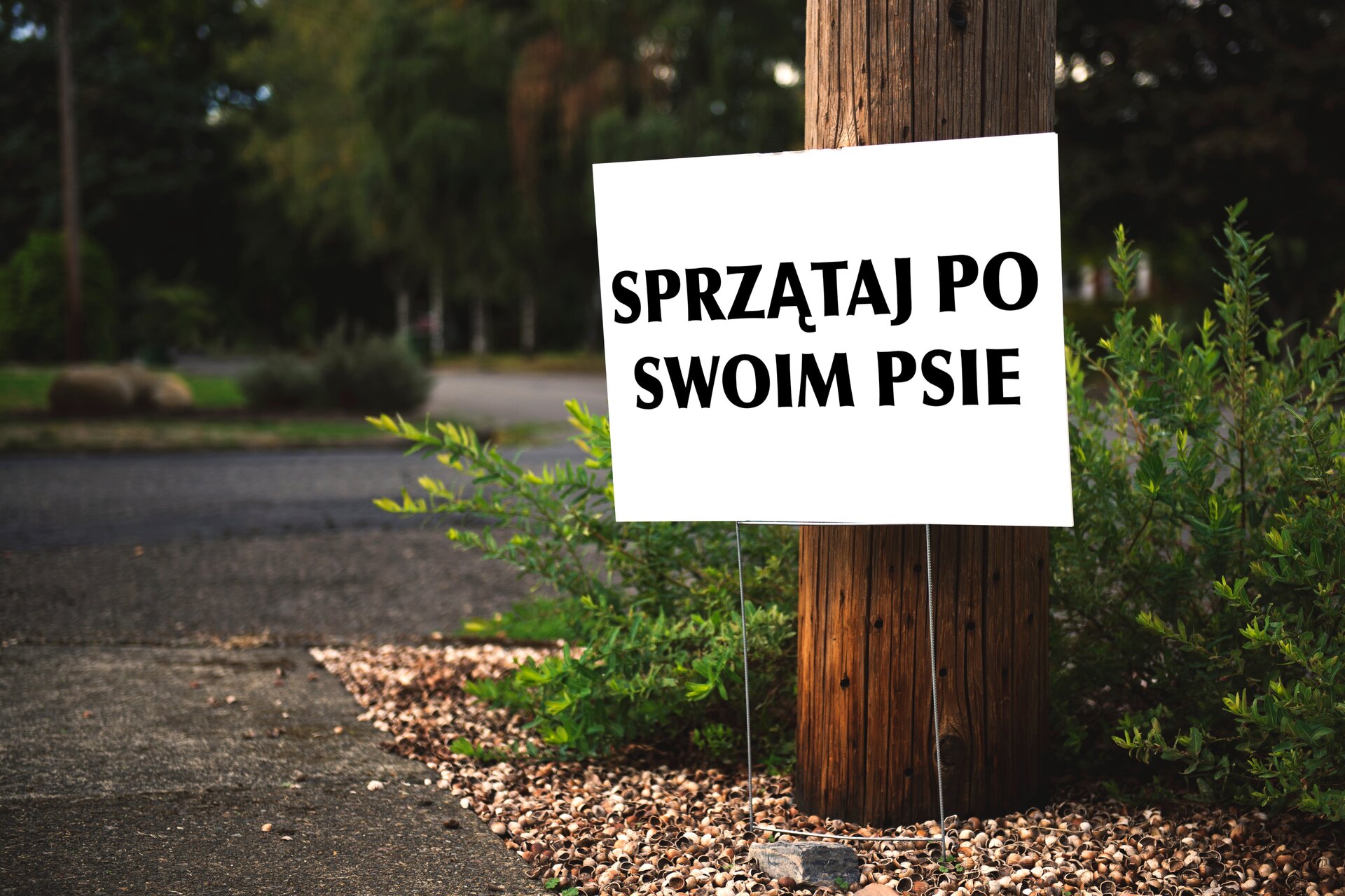 Zdjęcie przedstawia białą tablicę stojącą na skwerze. Na tablicy napis: Sprzątaj po swoim psie. Tablica stoi przy drewnianym pniu. W tle są niskie zielone krzewy i drzewa. 