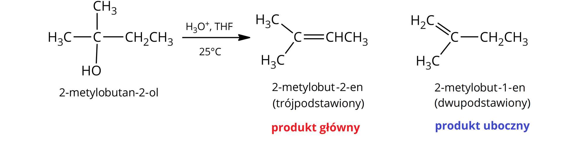 Ilustracja przedstawia równanie reakcji 2–metylo–2–butanolu w środowisku kwasowym z THF w temperaturze 25 stopni Celsjusza powstają dwa produkty: 2–metylo–2–buten, trójpodstawiony, będący produktem głównym oraz 2–metylo–1–buten, dwupodstawiony, będący produktem ubocznym.<math aria‑label="nawias, C H indeks dolny, trzy, koniec indeksu dolnego, zamknięcie nawiasu, indeks dolny, dwa, koniec indeksu dolnego, C nawias, O H, zamknięcie nawiasu, wiązanie pojedyncze, C H indeks dolny, dwa, koniec indeksu dolnego, C H indeks dolny, trzy, koniec indeksu dolnego, H indeks dolny, trzy, koniec indeksu dolnego, O indeks górny, plus, koniec indeksu górnego, przecinek, THF powyżej dwadzieścia pięć stopni Celsjusza poniżej, strzałka w prawo, nawias, C H indeks dolny, trzy, koniec indeksu dolnego, zamknięcie nawiasu, indeks dolny, dwa, koniec indeksu dolnego, C, wiązanie podwójne, C H C H indeks dolny, trzy, koniec indeksu dolnego, plus, H indeks dolny, dwa, koniec indeksu dolnego, C, wiązanie podwójne, C nawias, C H indeks dolny, trzy, koniec indeksu dolnego, zamknięcie nawiasu, wiązanie pojedyncze, C H indeks dolny, dwa, koniec indeksu dolnego, C H indeks dolny, trzy, koniec indeksu dolnego">CH32COH—CH2CH3→25°CH3O+, THFCH32C=CHCH3+H2C=CCH3—CH2CH3.