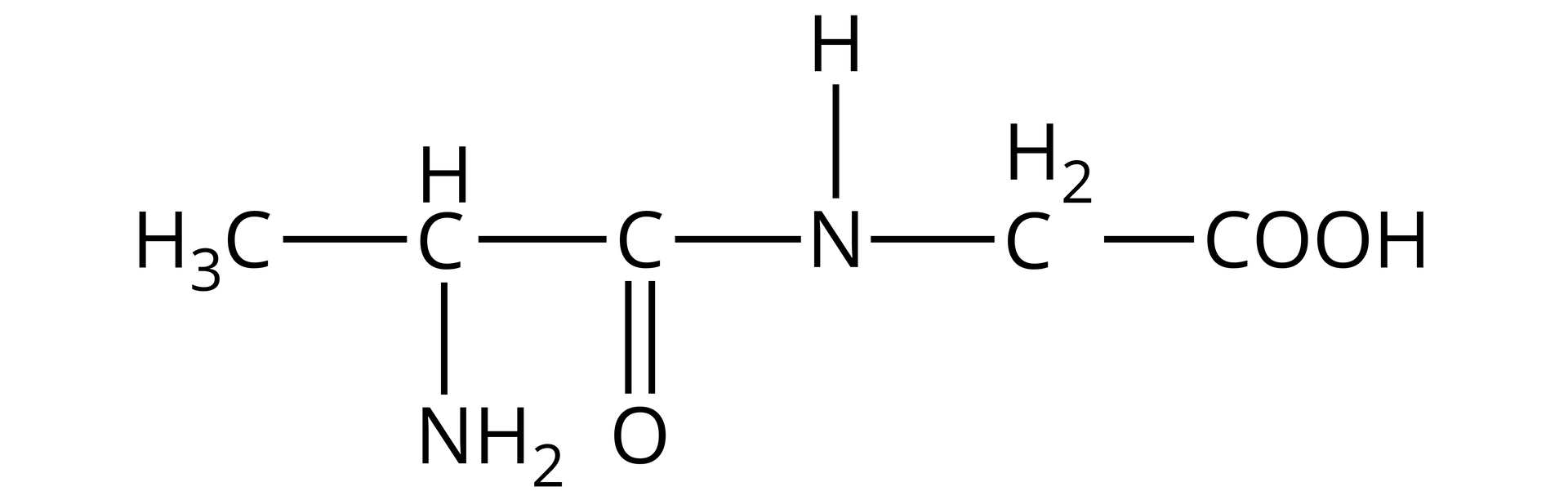 Na ilustracji jest wzór. Od lewej strony: grupa metylowa łączy się po prawej stronie z grupa CH. Ta łączy się na dole z grupą                 N       H                 2         , a po prawej stronie z atomem węgla, który łączy się wiązaniem podwójnym z atomem tlenu. Atom węgla łączy się po prawej stronie z atomem azotu, który łączy się u góry z atomem wodoru, a po prawej stronie z grupą metylenową. Grupa metylenowa łączy się po prawej stronie z grupą karboksylową.  