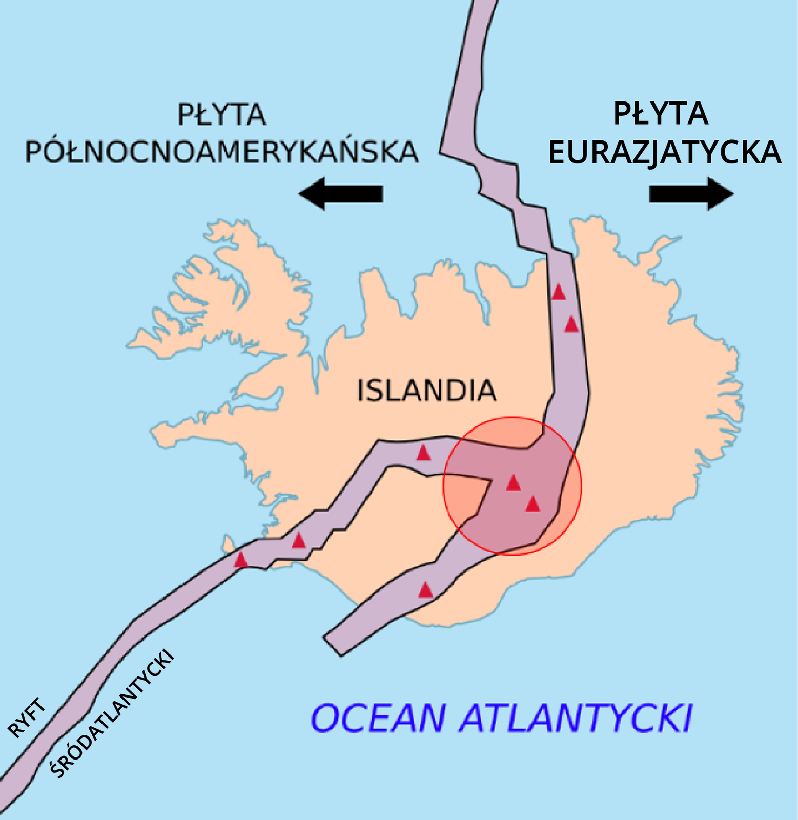 Mapa Islandii, na której powierzchnia wyspy przedstawiona została pomarańczowym kolorem, a otaczające ją wody Oceanu Atlantyckiego kolorem błękitnym. Z północy, przez środek wyspy, a następnie na południowy zachód biegnie Grzbiet Śródatlantycki, oddzielający znajdującą się na zachodzie płytę północnoamerykańską od płyty euroazjatyckiej. Nazwy płyt umieszczone w górnej części mapki. Pod nazwami umieszczono poziome strzałki o przeciwstawnych wektorach, skierowanych odpowiednio na zachód i na wschód. Na terenie Islandii, w miejscu przebiegu Grzbietu znajdują się liczne wulkany, a w centralnej części półprzezroczystym, czerwonym okręgiem oznaczono na Grzbiecie tak zwaną „plamę gorąca”. Od tego miejsca Grzbiet rozgałęzia się na dwie równoległe części, biegnące na południowy zachód, z których druga (położona bardziej na wschód) kończy się wkrótce za granicami wyspy.