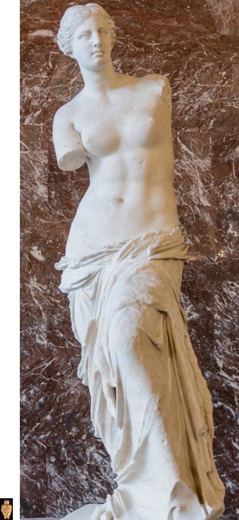 Ilustracja przedstawia dwie fotografie w jednej linii w celu porównania ich wielkości: figurka paleolityczna jest 20 razy mniejsza od posąg greckiego. Z lewej strony znajduje się rzeźba „Wenus z Willendorfu” na czarnym tle. Figurka przedstawia kobiecą postać o bardzo wydatnym biuście, rozrośniętym brzuchu i krótkich nogach o silnie rozbudowanych udach. Rzeźbę wyróżnia ozdobna fryzura, przypominająca drobne loczki oraz wątłe, złożone na biuście ręce. Figurka wykonana jest z kamienia kredowego i pomalowana czerwoną ochrą. Fotografia z prawej strony przedstawia rzeźbę „Wenus z Milo”. Ukazuje posąg półnagiej bogini z szatą opuszczoną poniżej bioder. Lewą nogę ma wysuniętą, biodro przechylone w prawo. Rzeźba nie posiada rąk. Wzrok Wenus skierowany jest lekko w dół, a na jej twarzy pojawia się delikatny uśmiech.